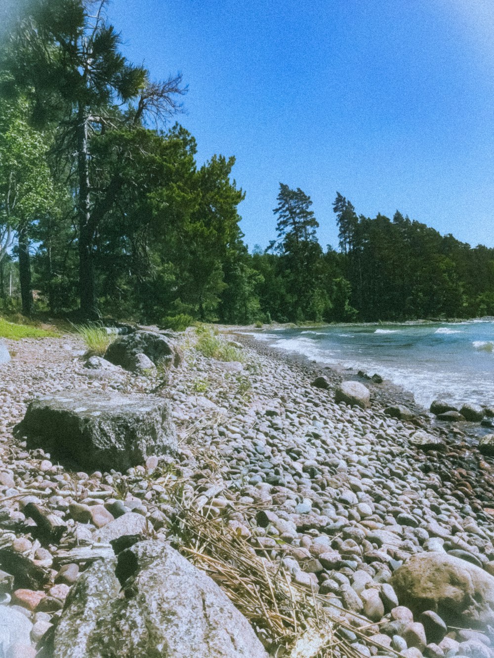 a sandy beach with rocks and trees in the background