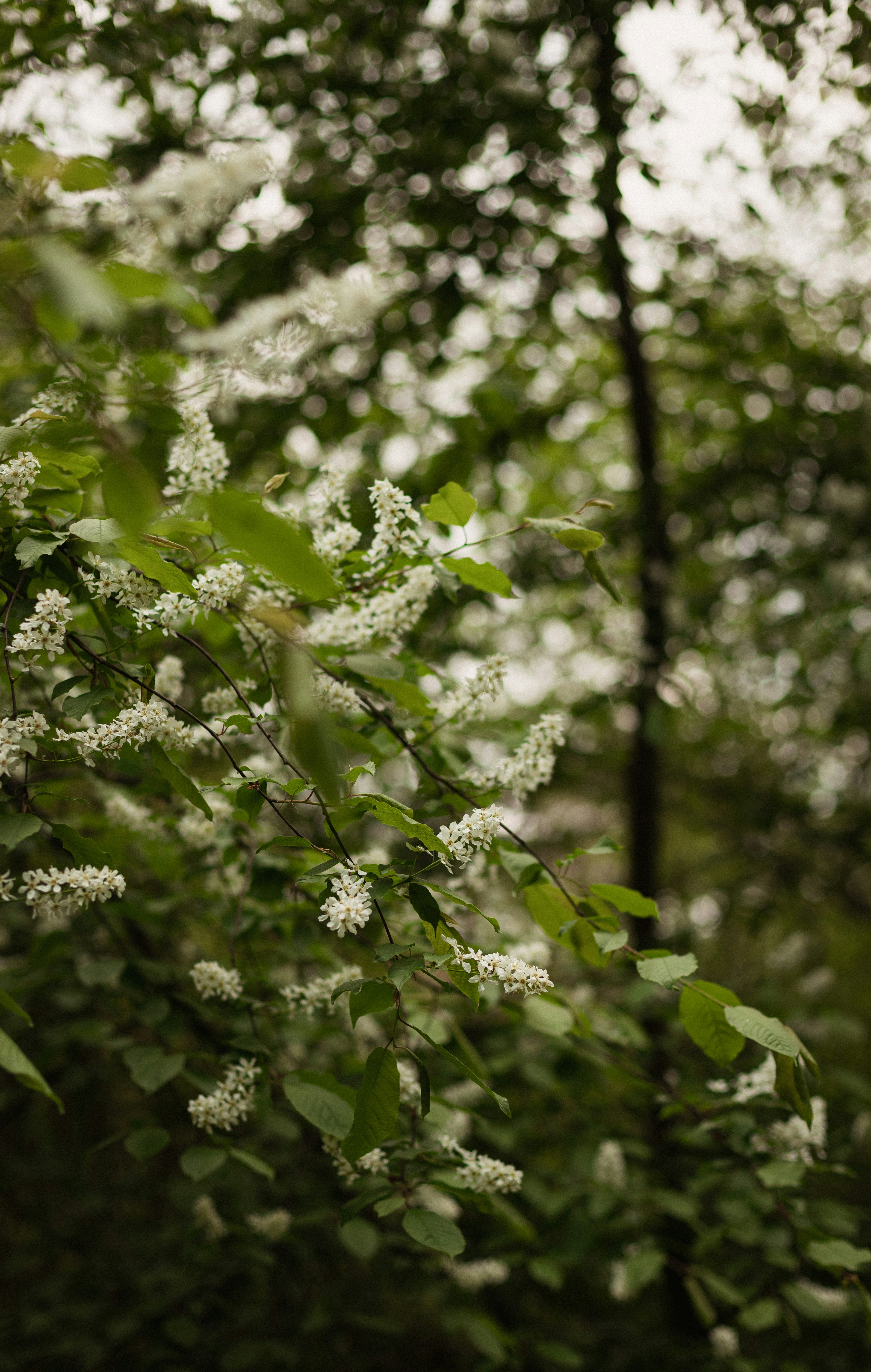 Photo by mykhailokopyt