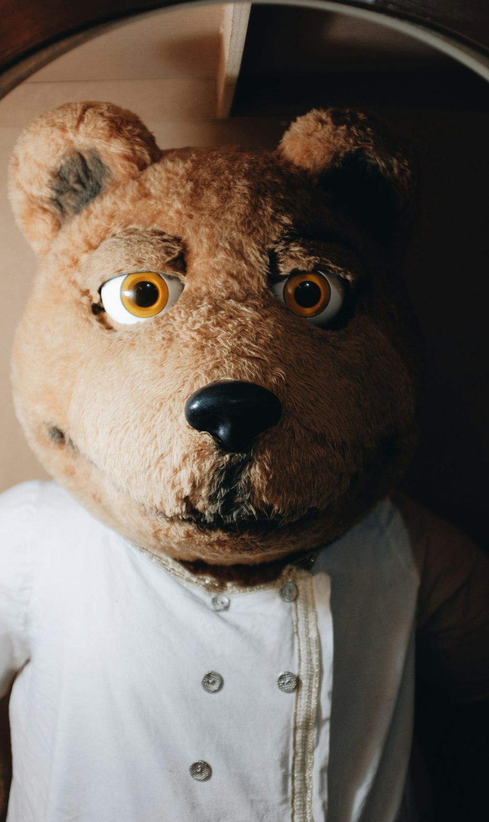 Un oso de peluche vestido con un traje de chef