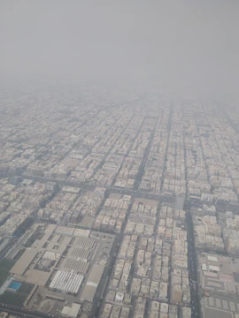 A detailed digital map showing population density changes across a bustling cityscape.