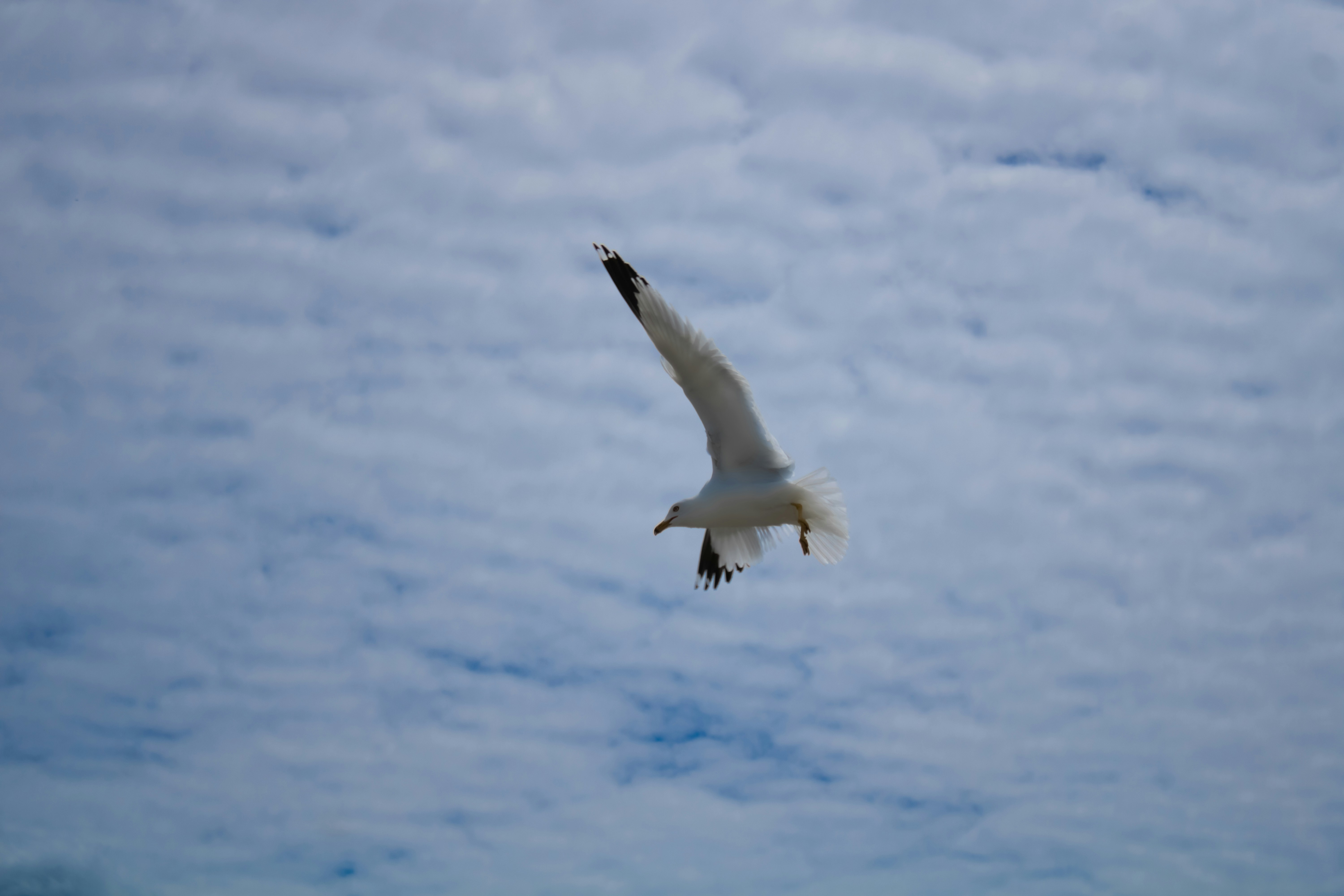 Photo by ingenious0range