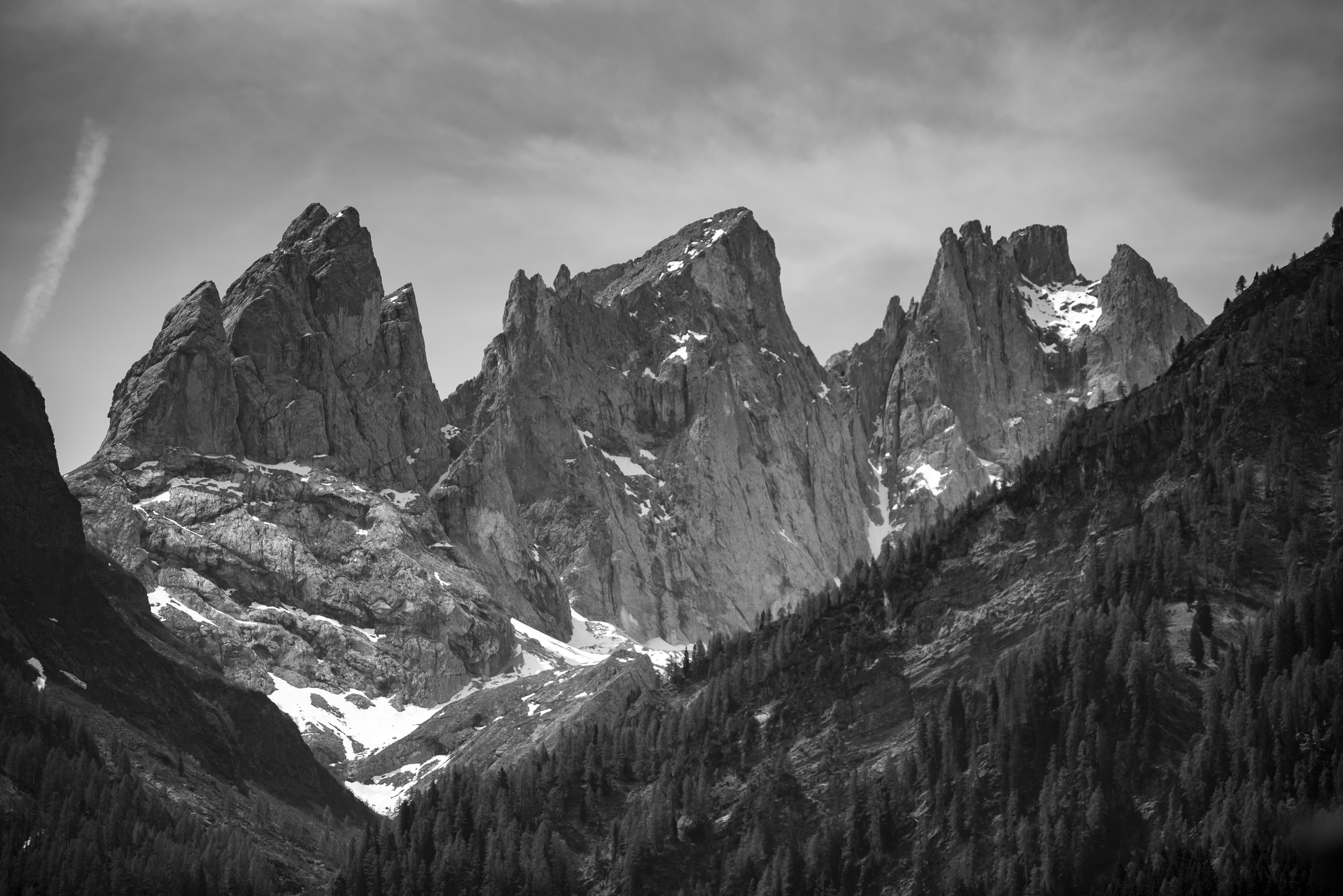 Photo by blackbirdflyaway