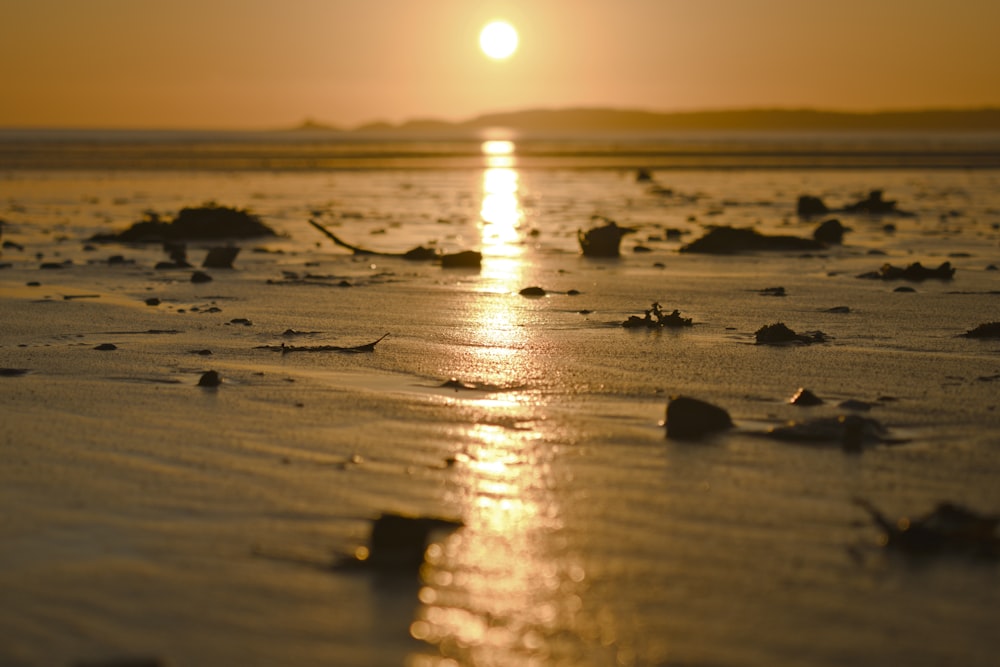 the sun is setting over the water on the beach