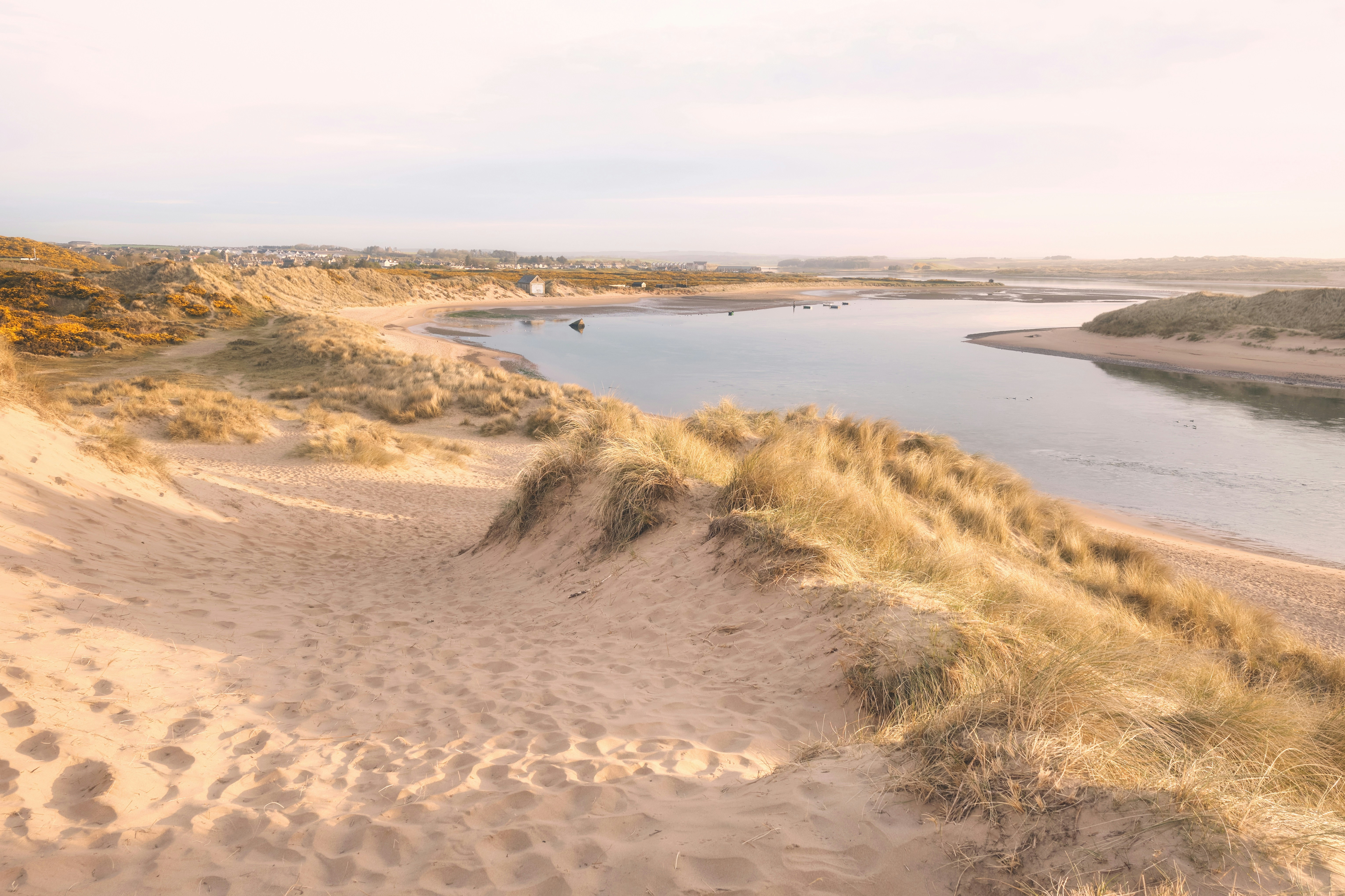 Photo by kevinmueller