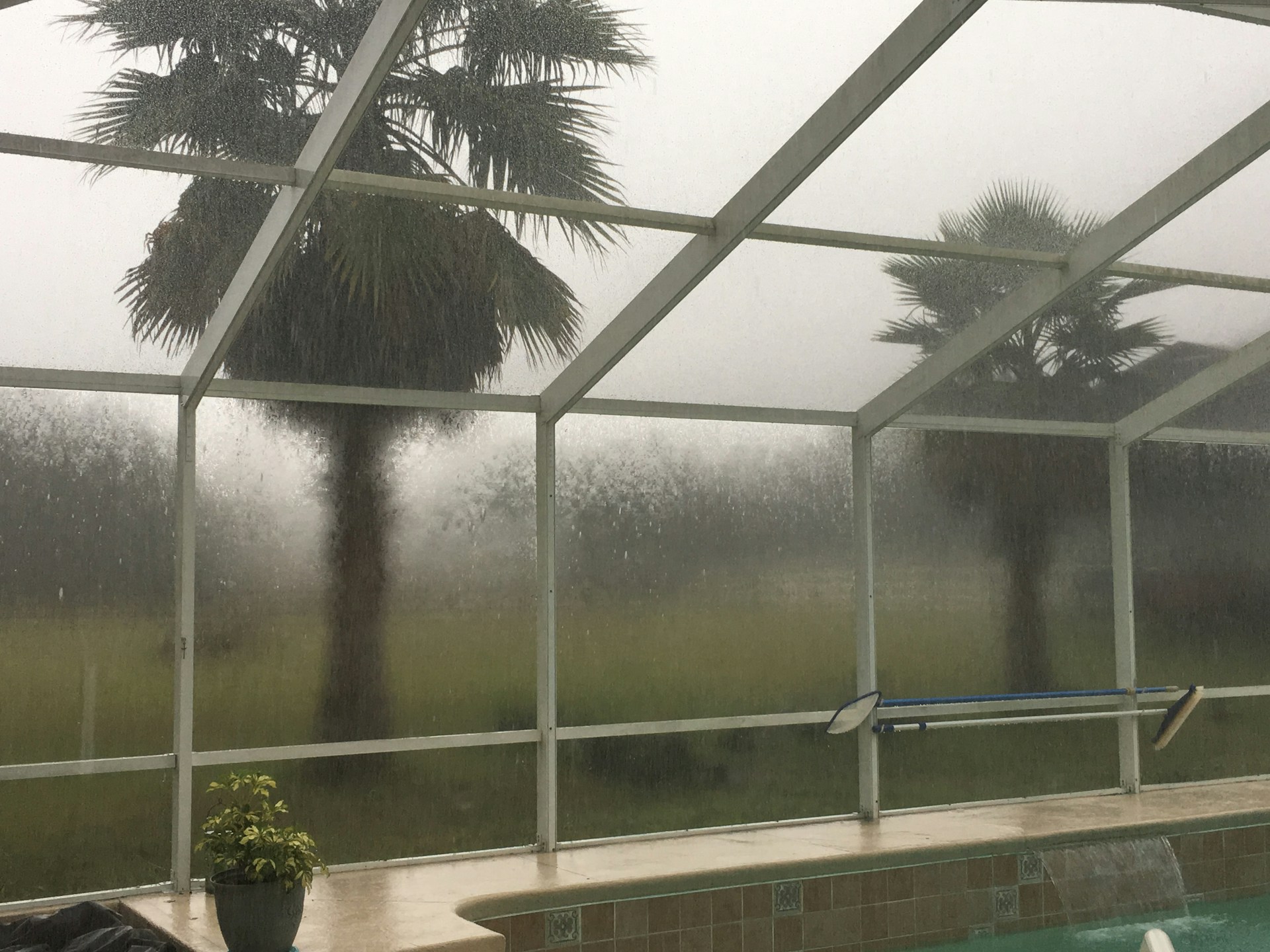 a swimming pool with a view of a palm tree