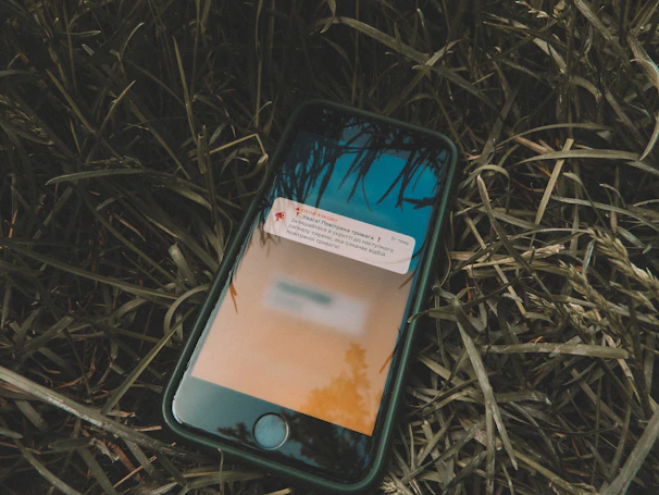 Close-up of a smartphone displaying the app’s notification alert after detecting movement.