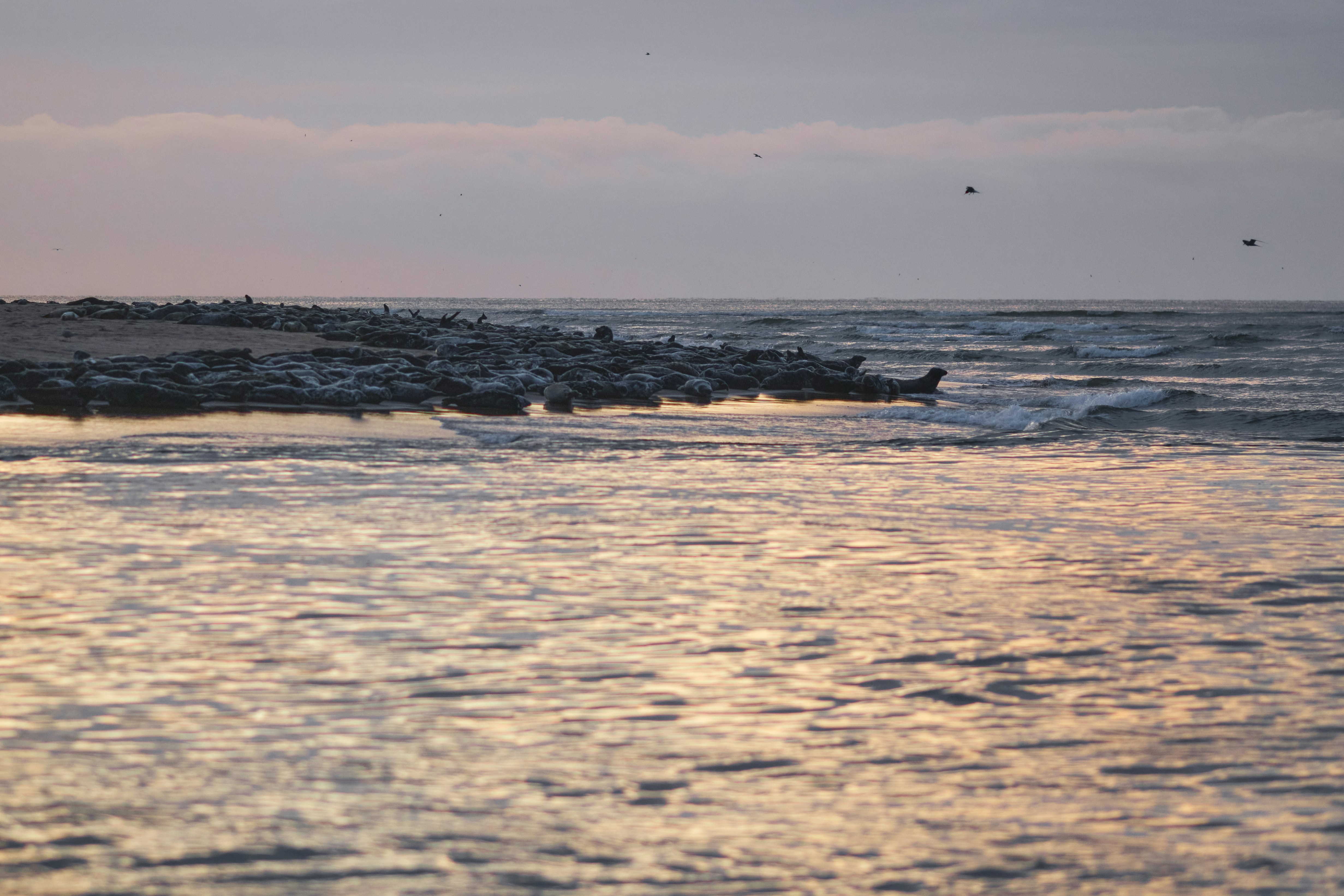 Photo by kevinmueller