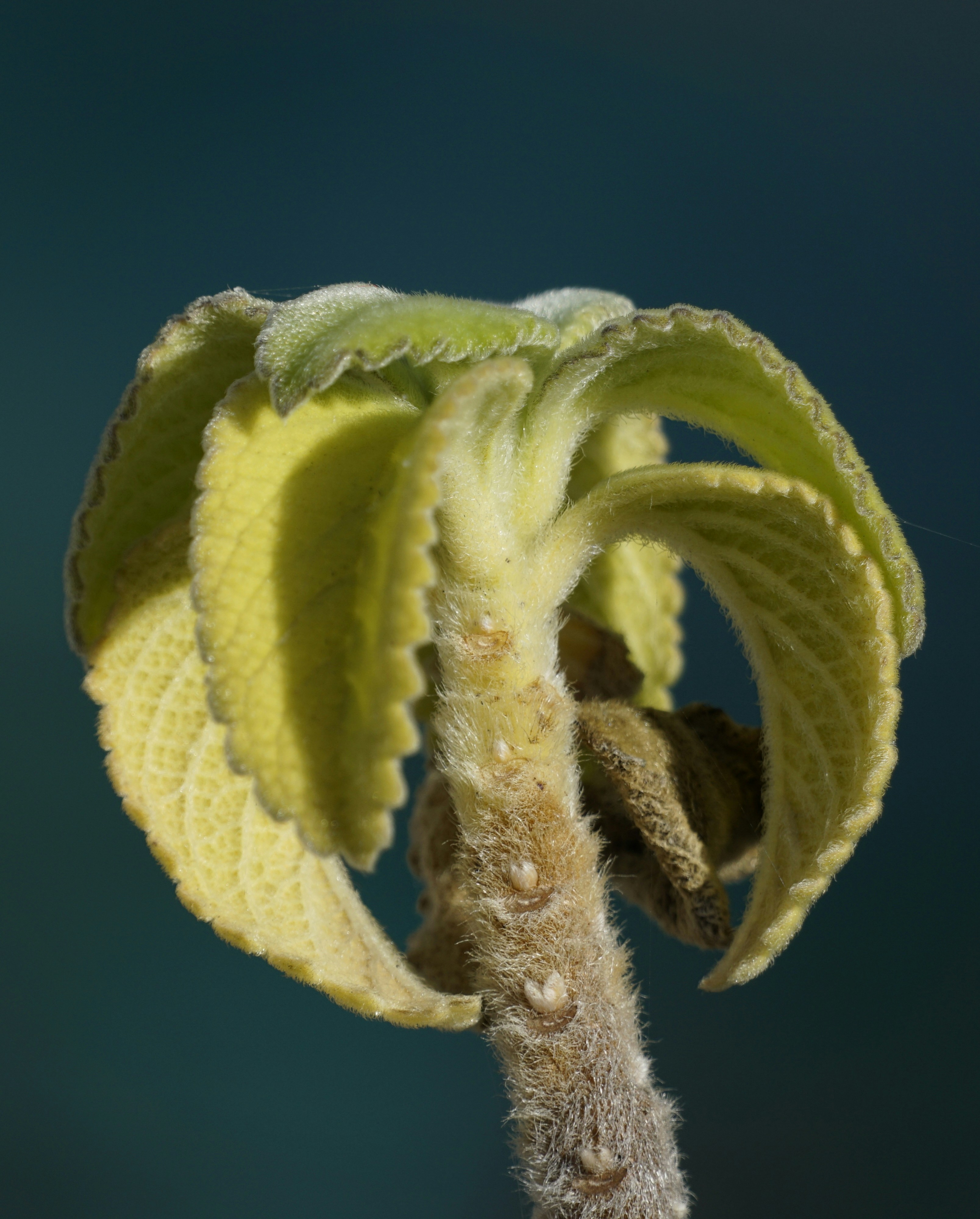 Photo by filipe_cantador