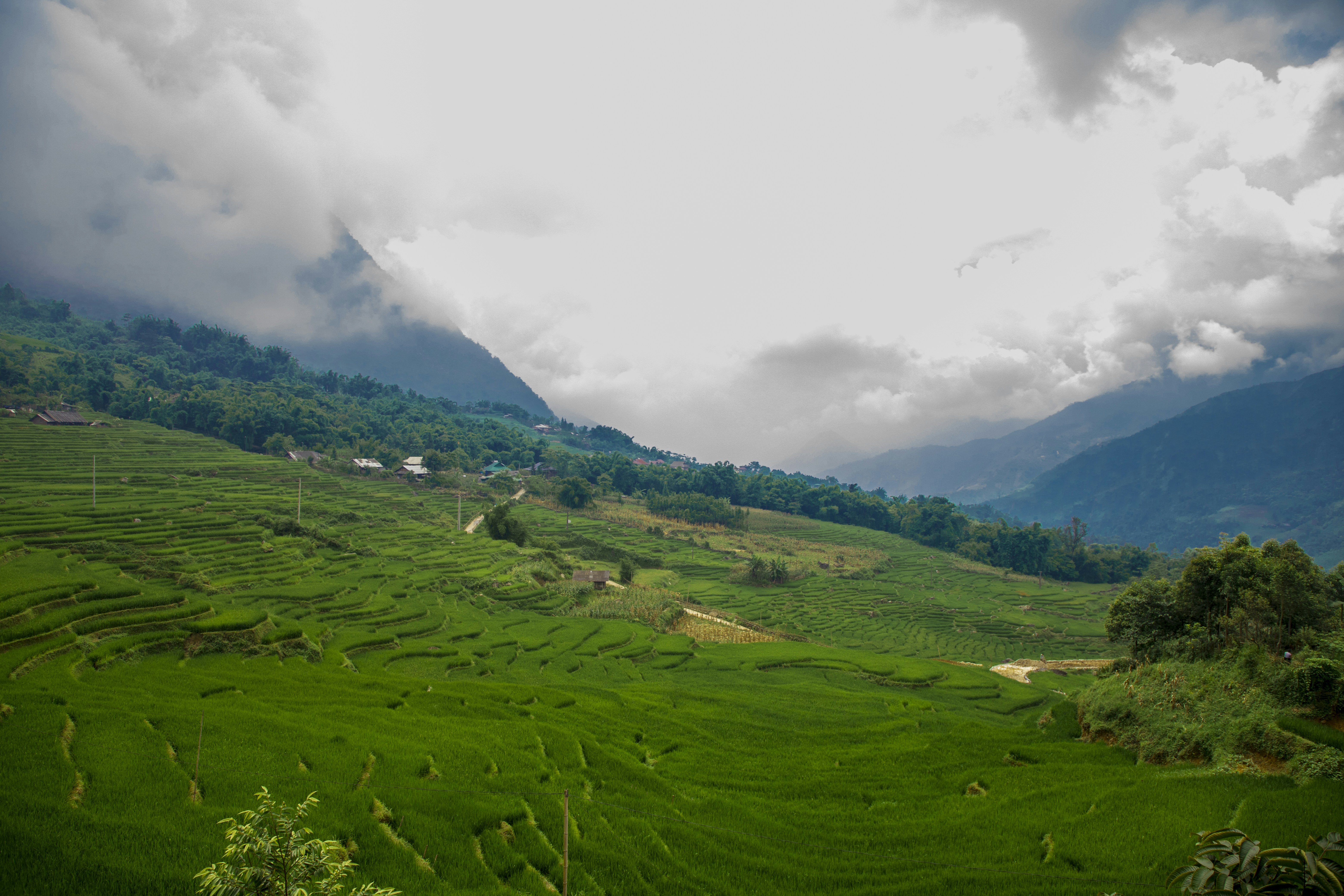 Photo by bahr_splash