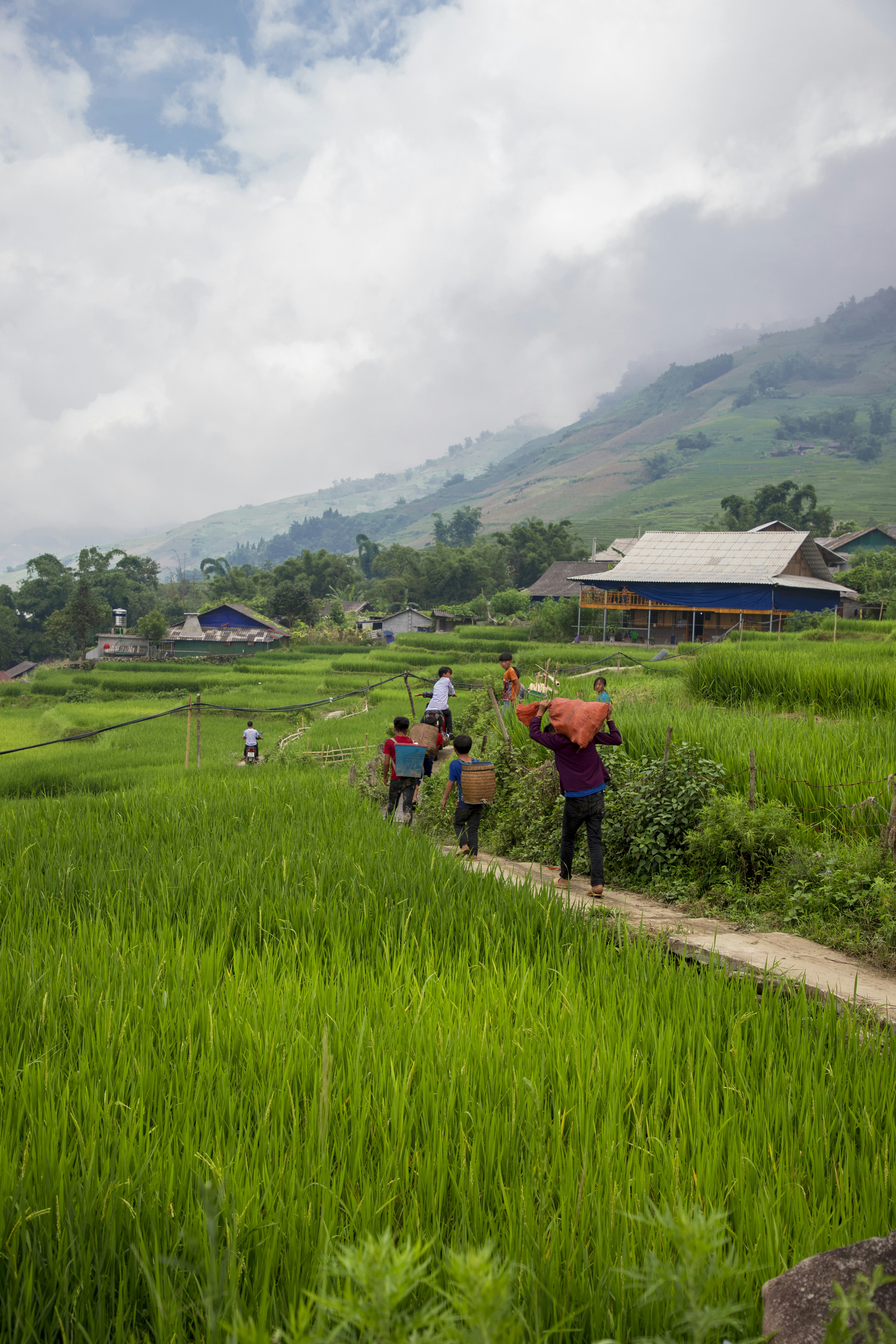 Photo by bahr_splash