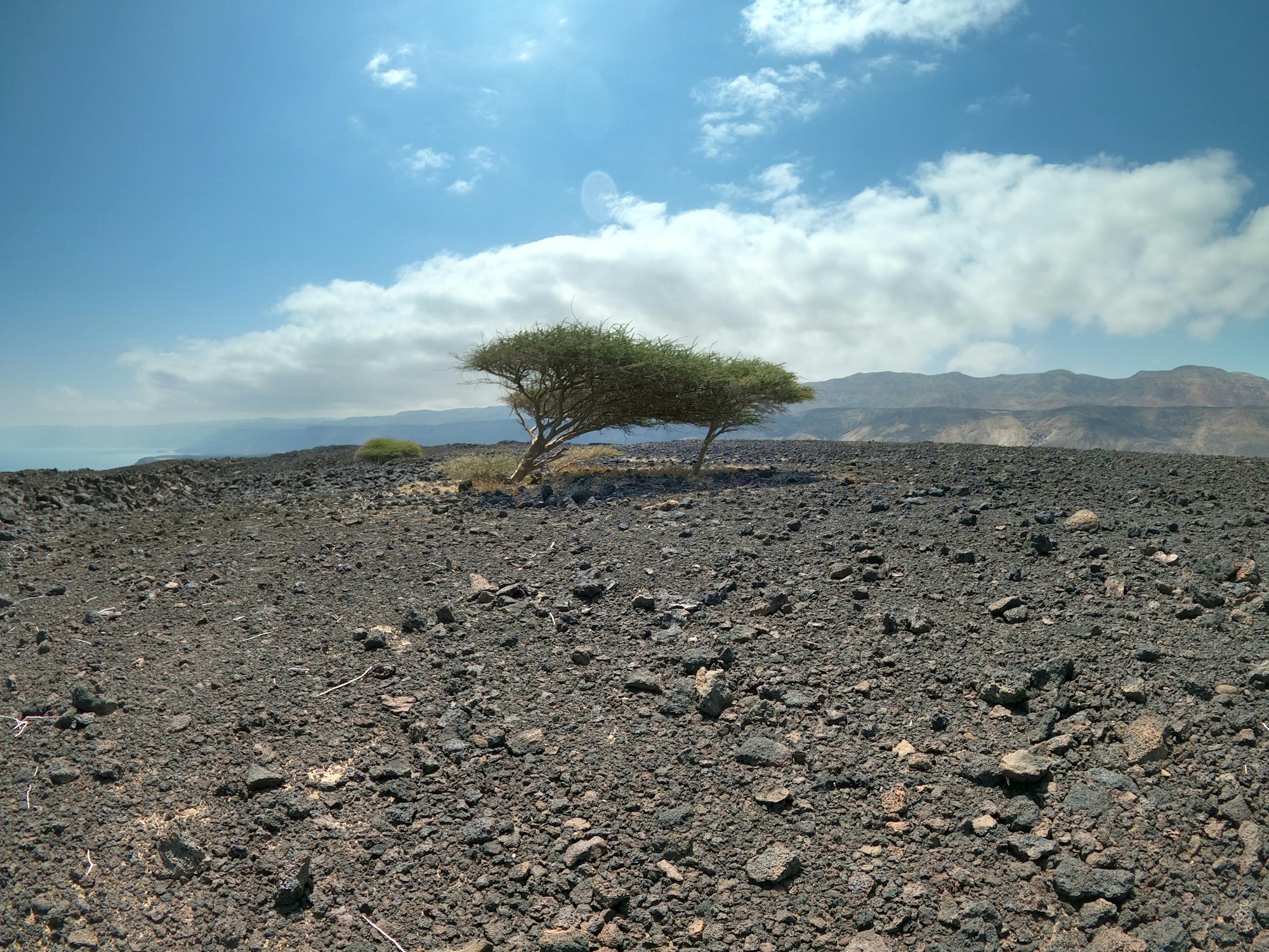 Best Time to Visit Djibouti: Weather & Season Guide