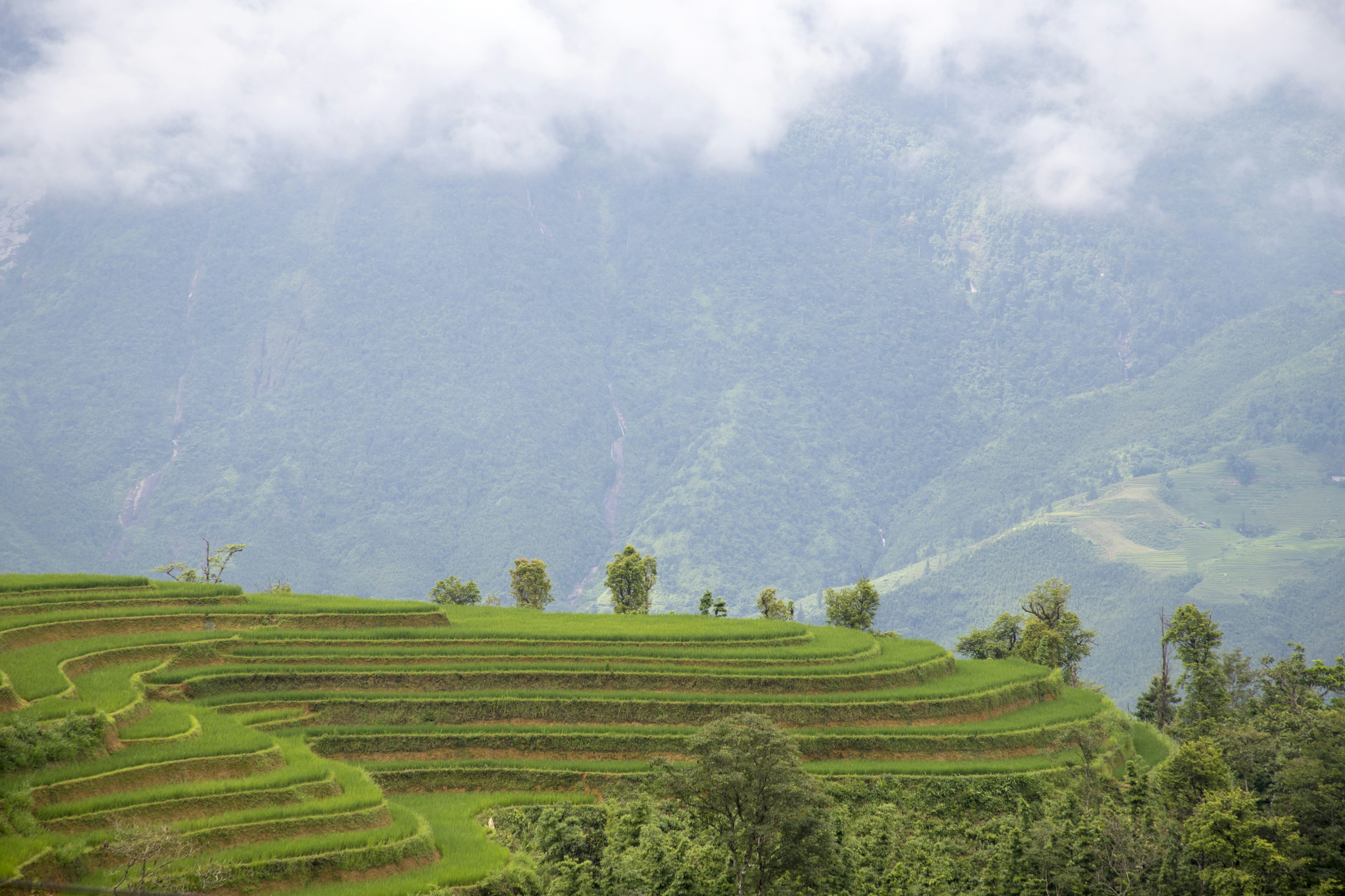 Photo by bahr_splash