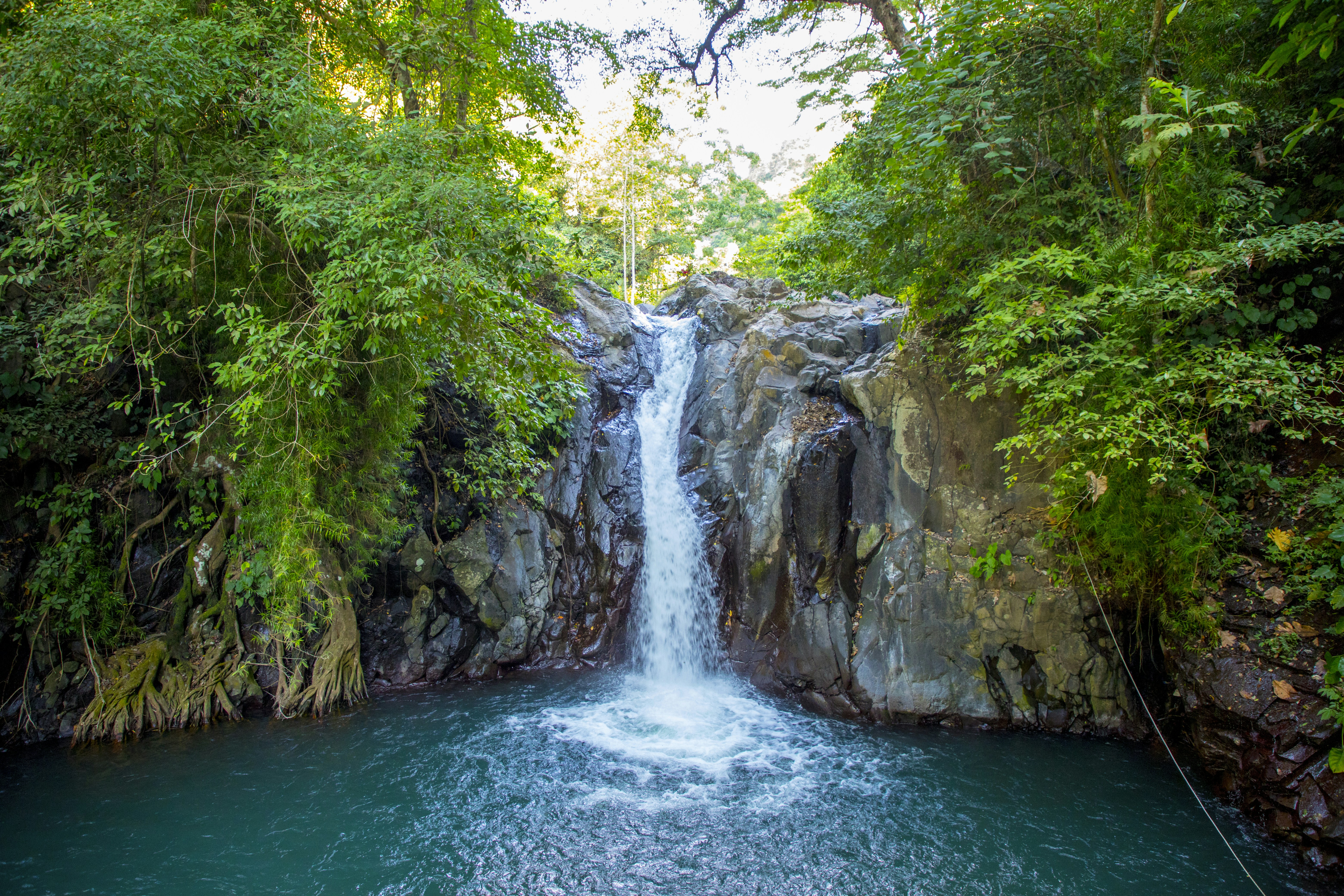 Photo by bahr_splash