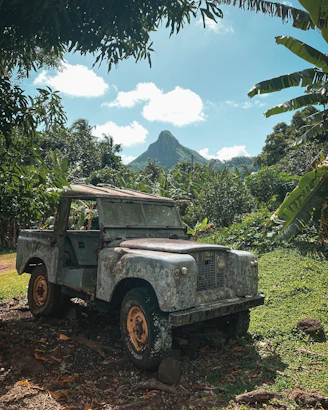 an old truck parked in the middle of a jungle