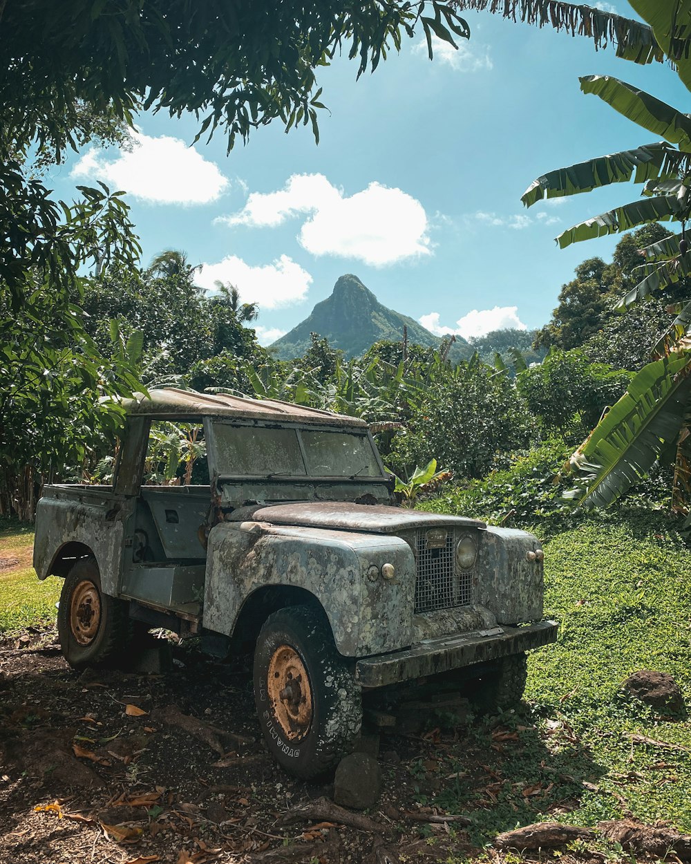 an old truck parked in the middle of a jungle