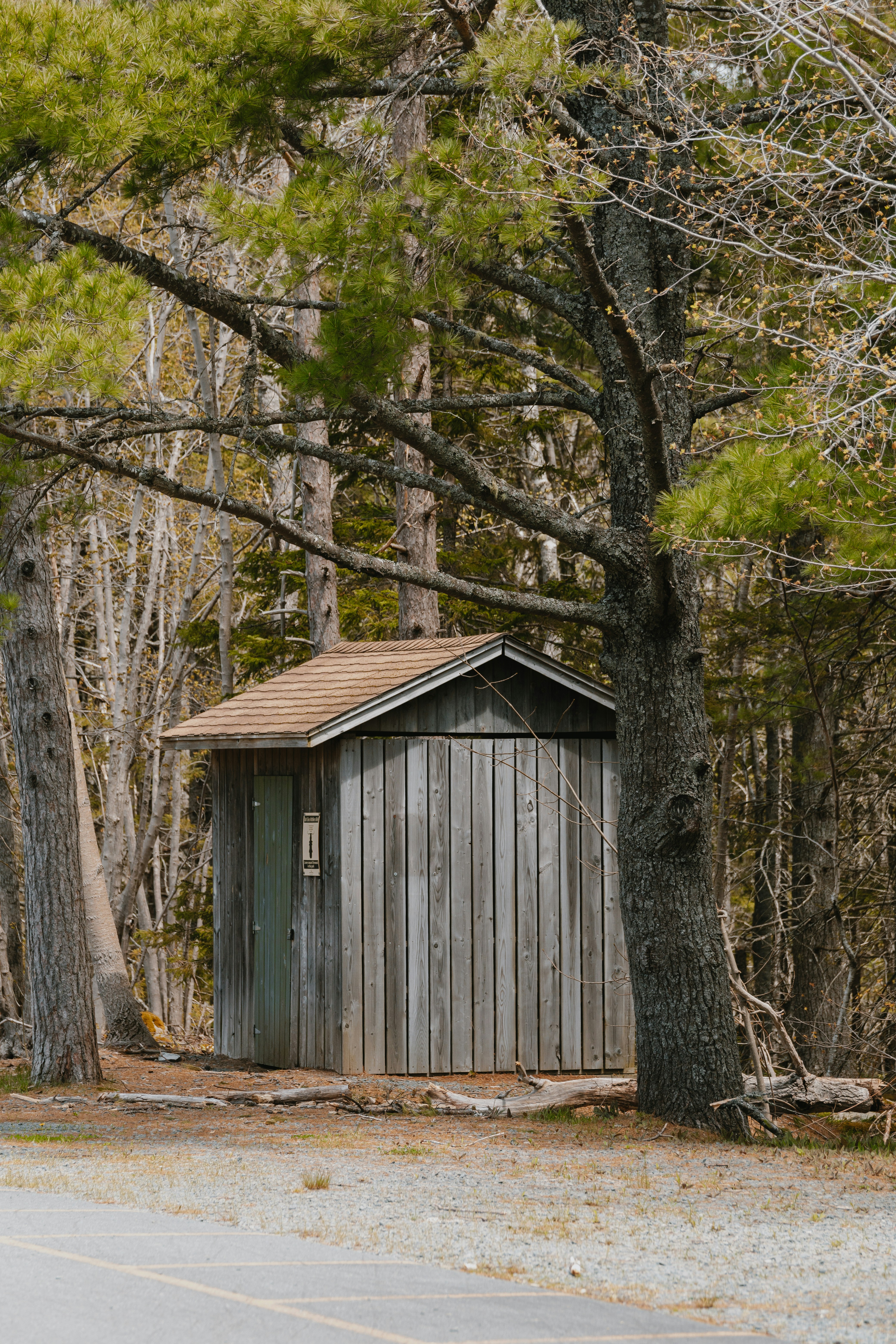 Photo by janwalterluigi