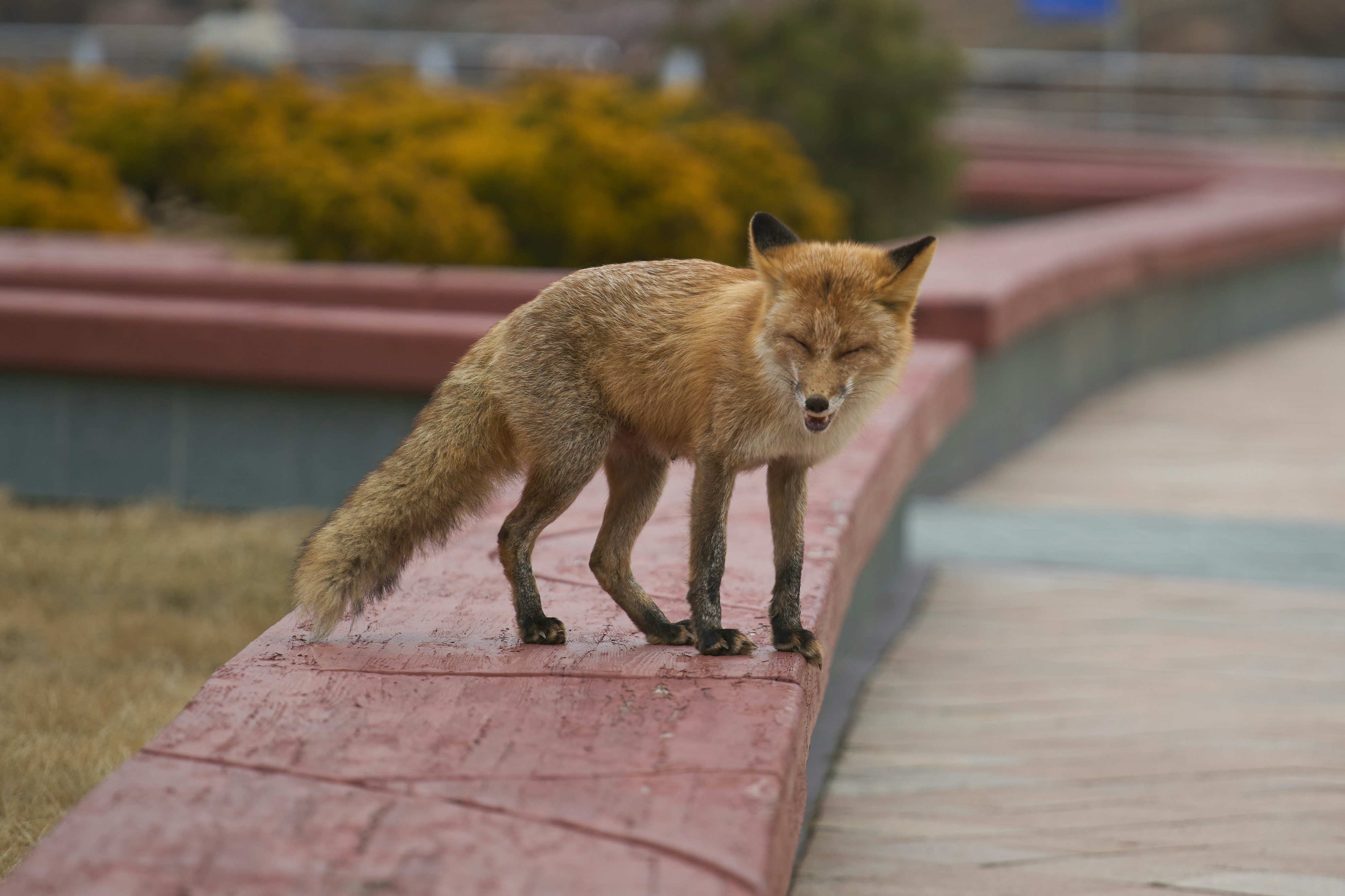 Policy and Legislation Challenges (image credits: unsplash)