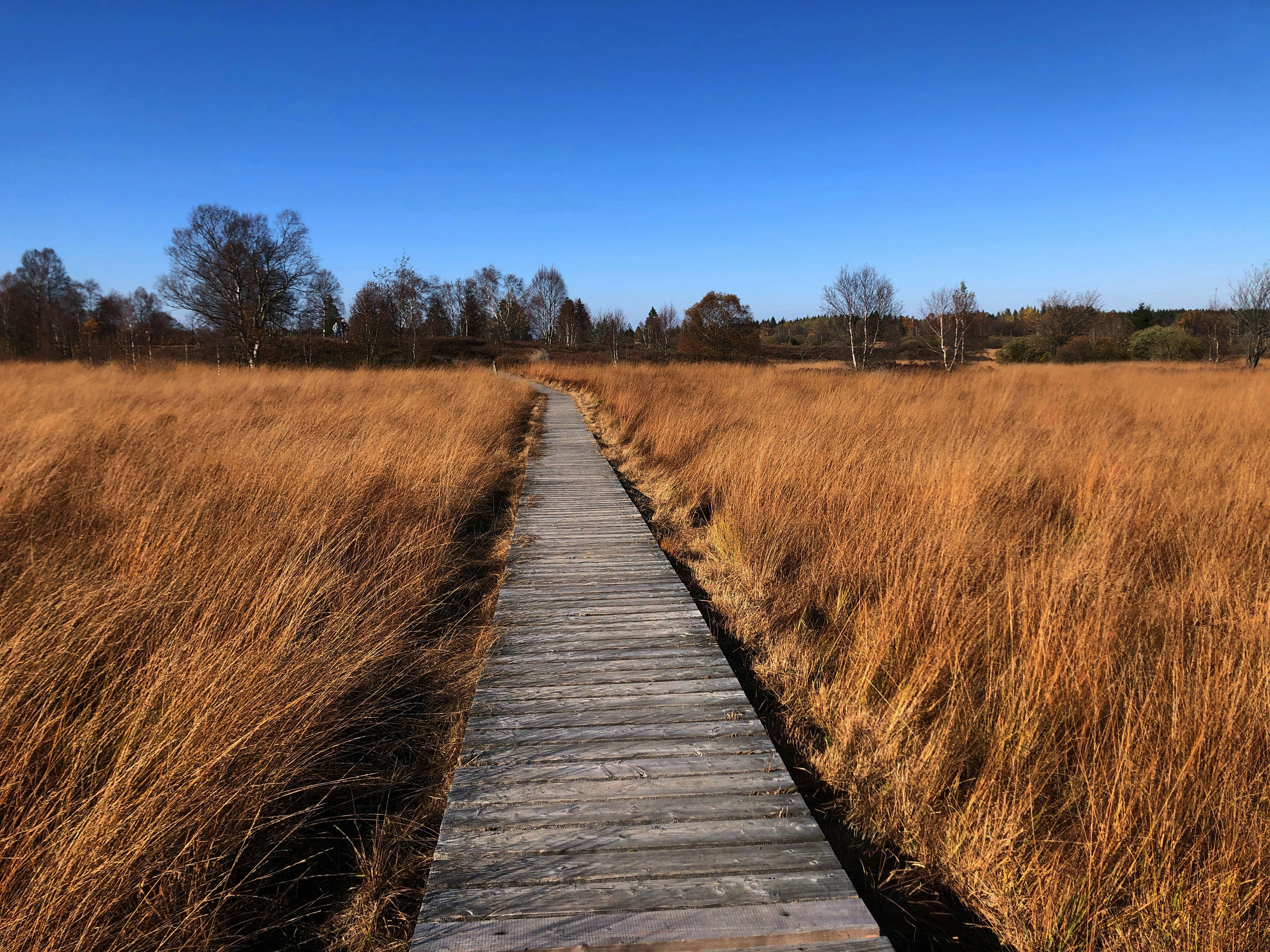 Photo by katharina_er