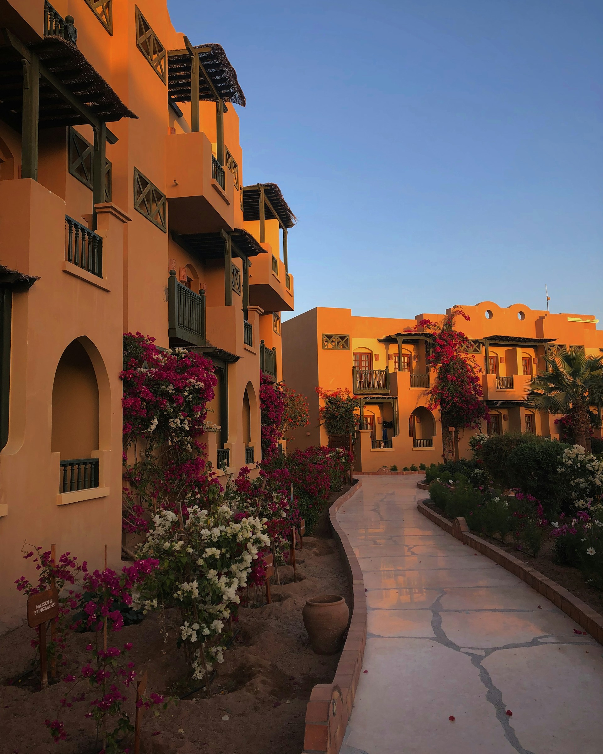 woman wearing yellow long-sleeved dress under white clouds and blue sky during daytime