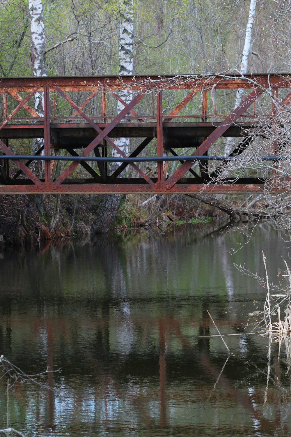 a red bridge over a river surrounded by trees