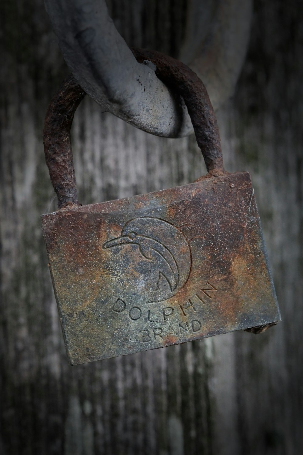 a rusted padlock with a eagle on it