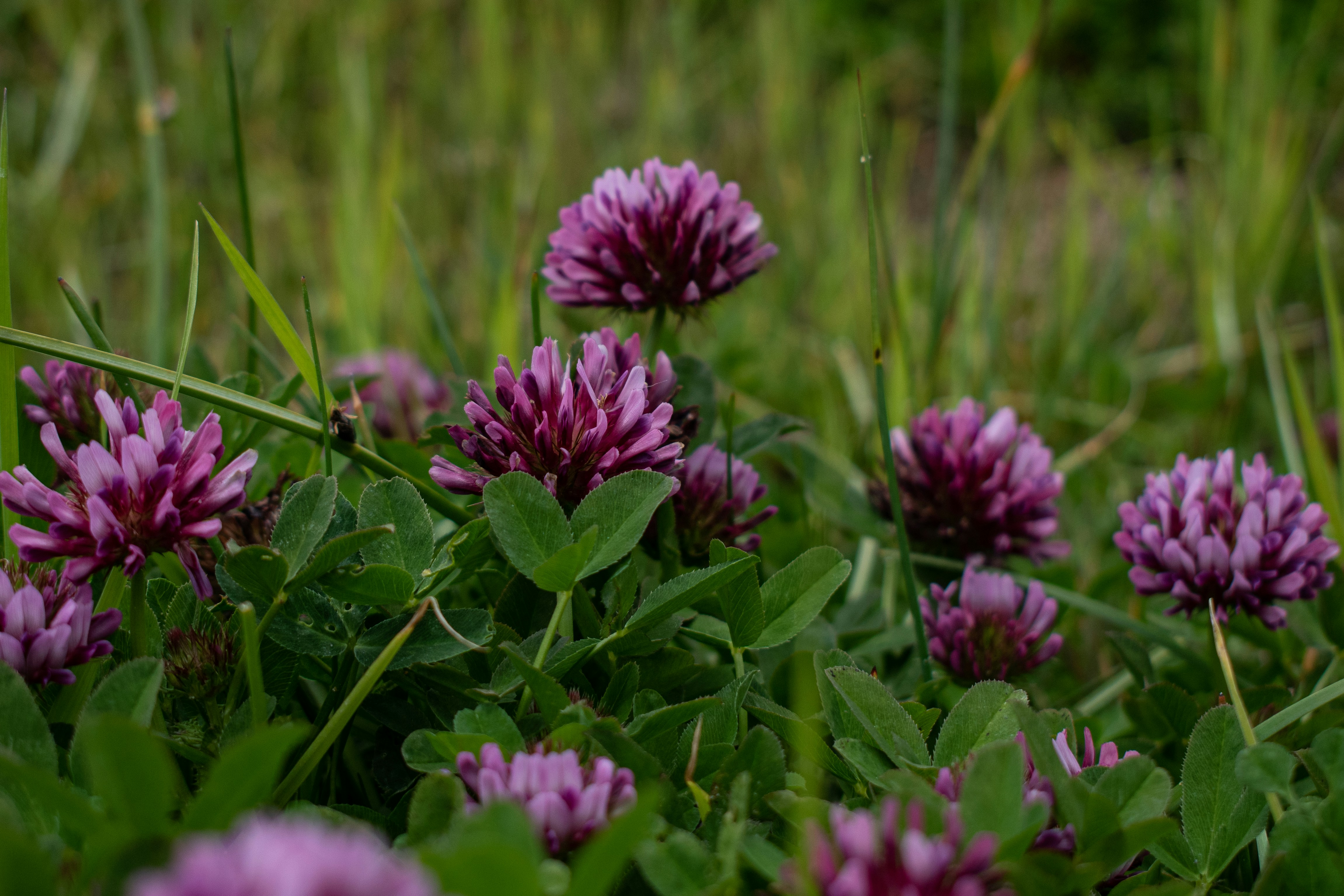 Photo by elisastonephotography