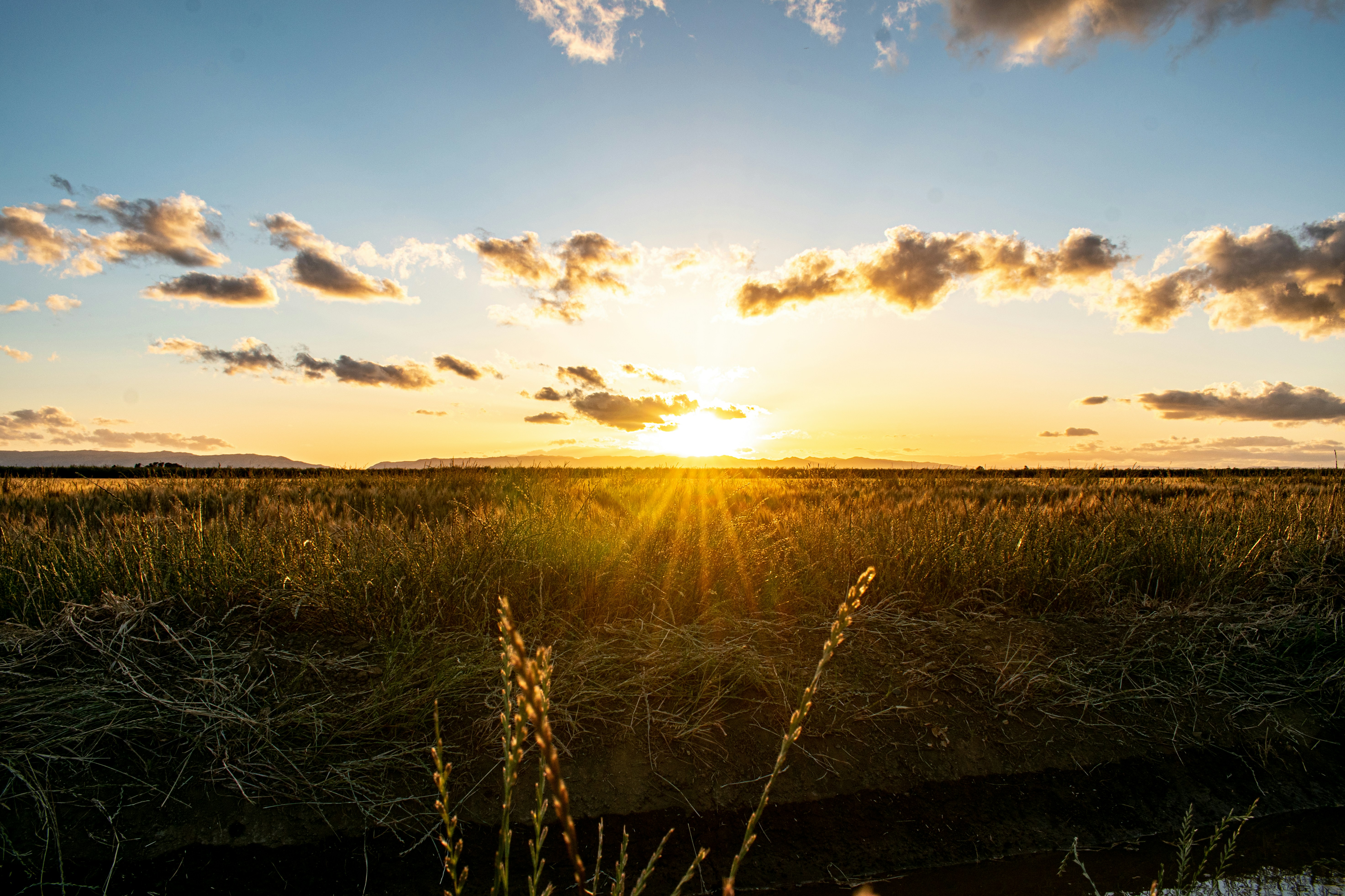 Photo by elisastonephotography