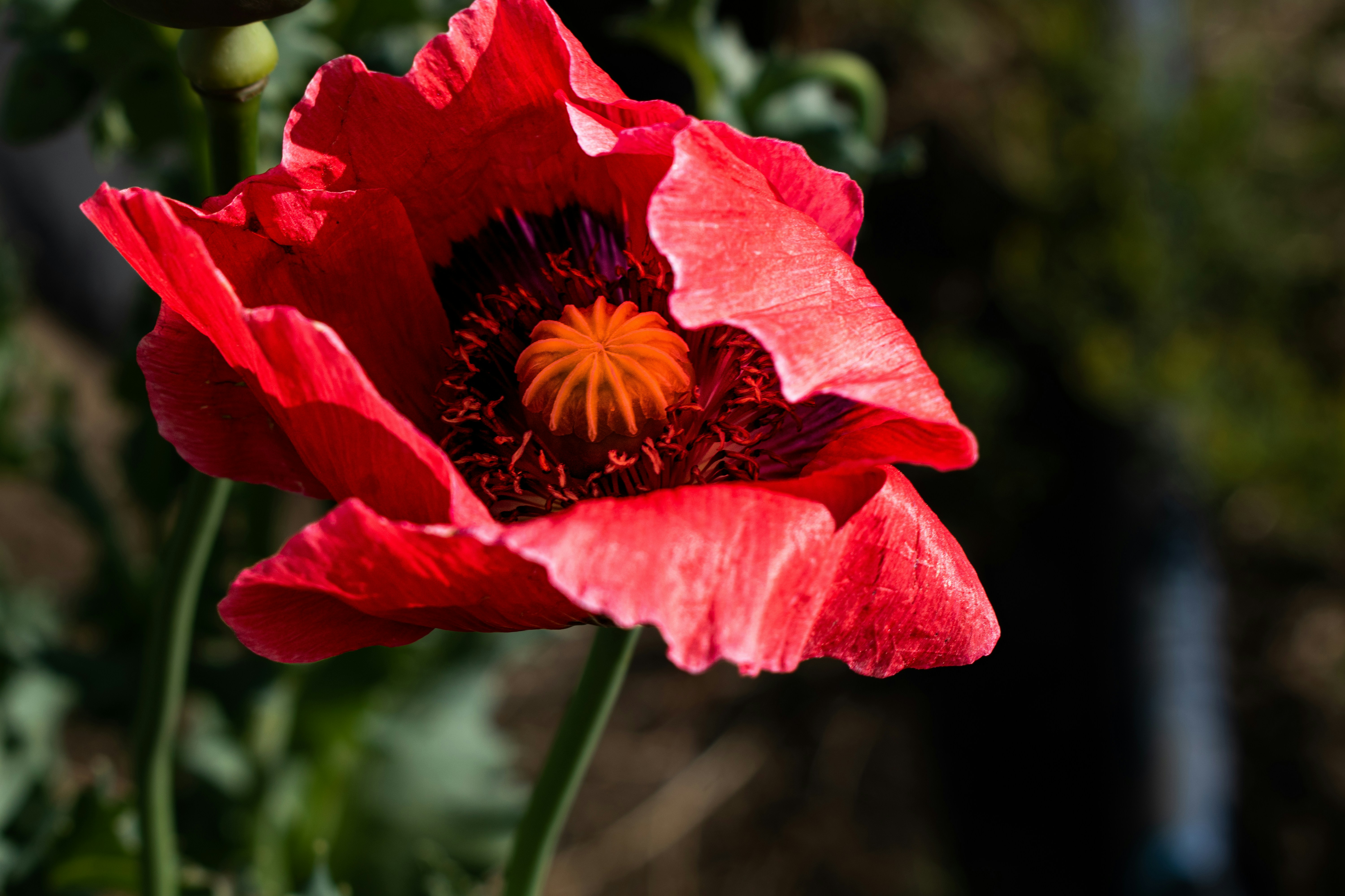 Photo by elisastonephotography