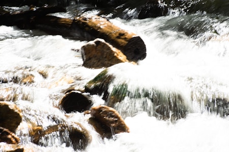A dynamic and energetic flow of water cascades over a stream filled with smooth, round rocks and a large fallen log. The water appears white and frothy, suggesting a rapid current.
