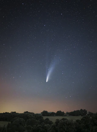 Starry night sky with a bright comet streaking over a Mexican landscape.
