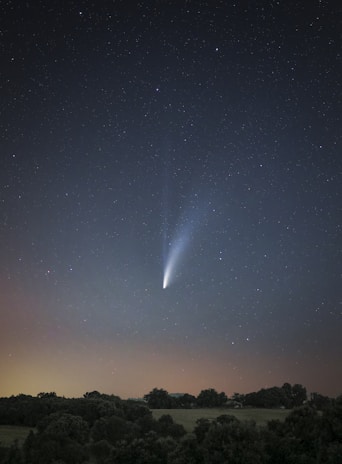 A night sky filled with stars and a bright comet with a long tail. Below the sky is a silhouette of trees and a landscape, creating a contrast with the illuminated comet.