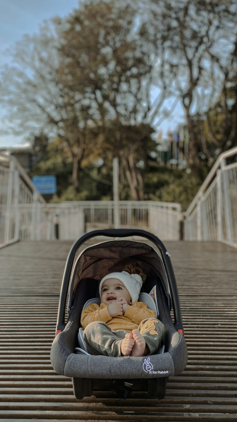 a baby in a stroller on a bridge