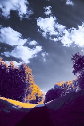 The image features a surreal landscape with trees lining a path under a dramatic sky filled with fluffy clouds. The colors are altered, with the trees displaying a mix of yellow and purple hues, and the sky a deep grayish-blue. The path in the foreground appears dark and mysterious, leading into the horizon.