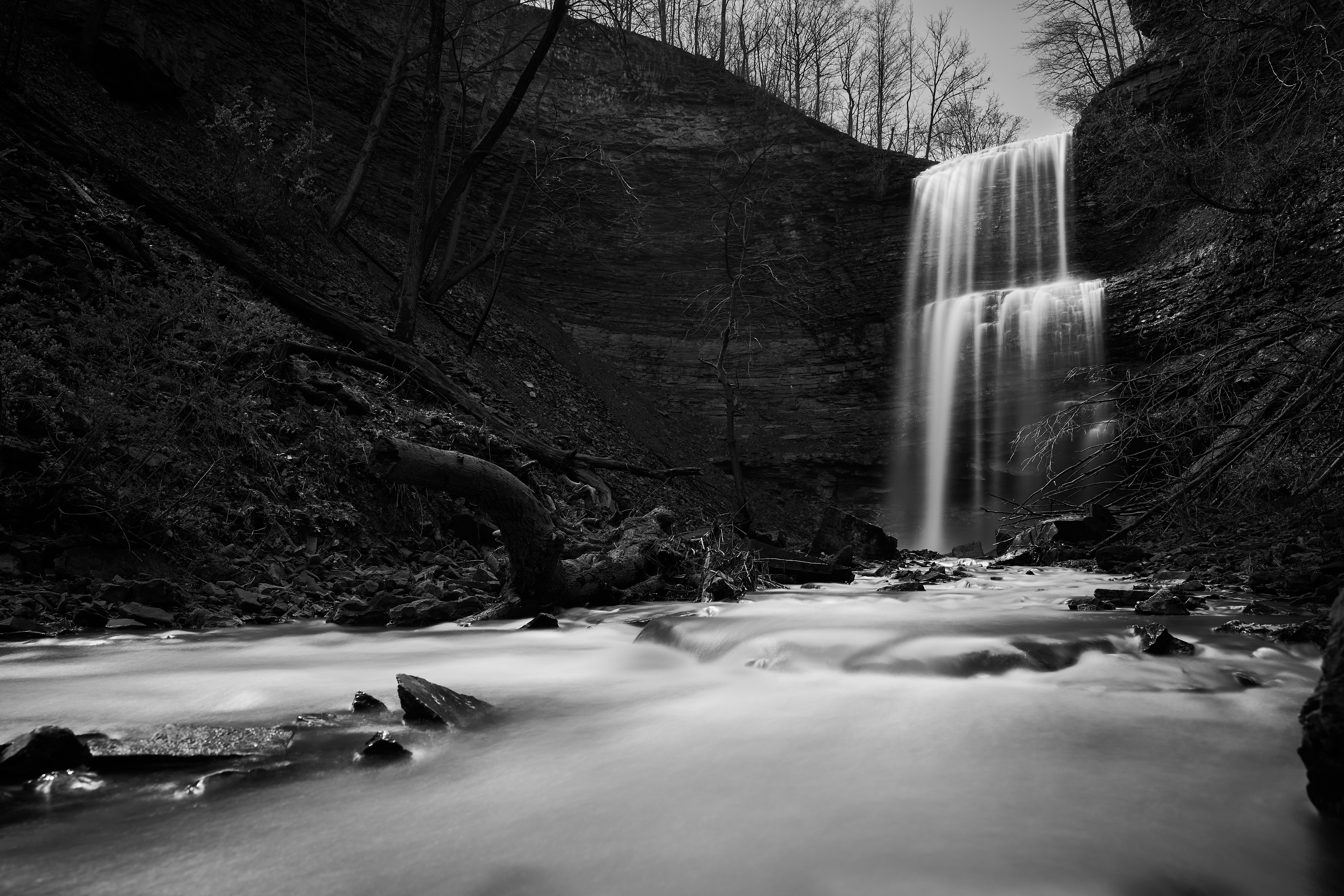 Photo by wolfgang_hasselmann