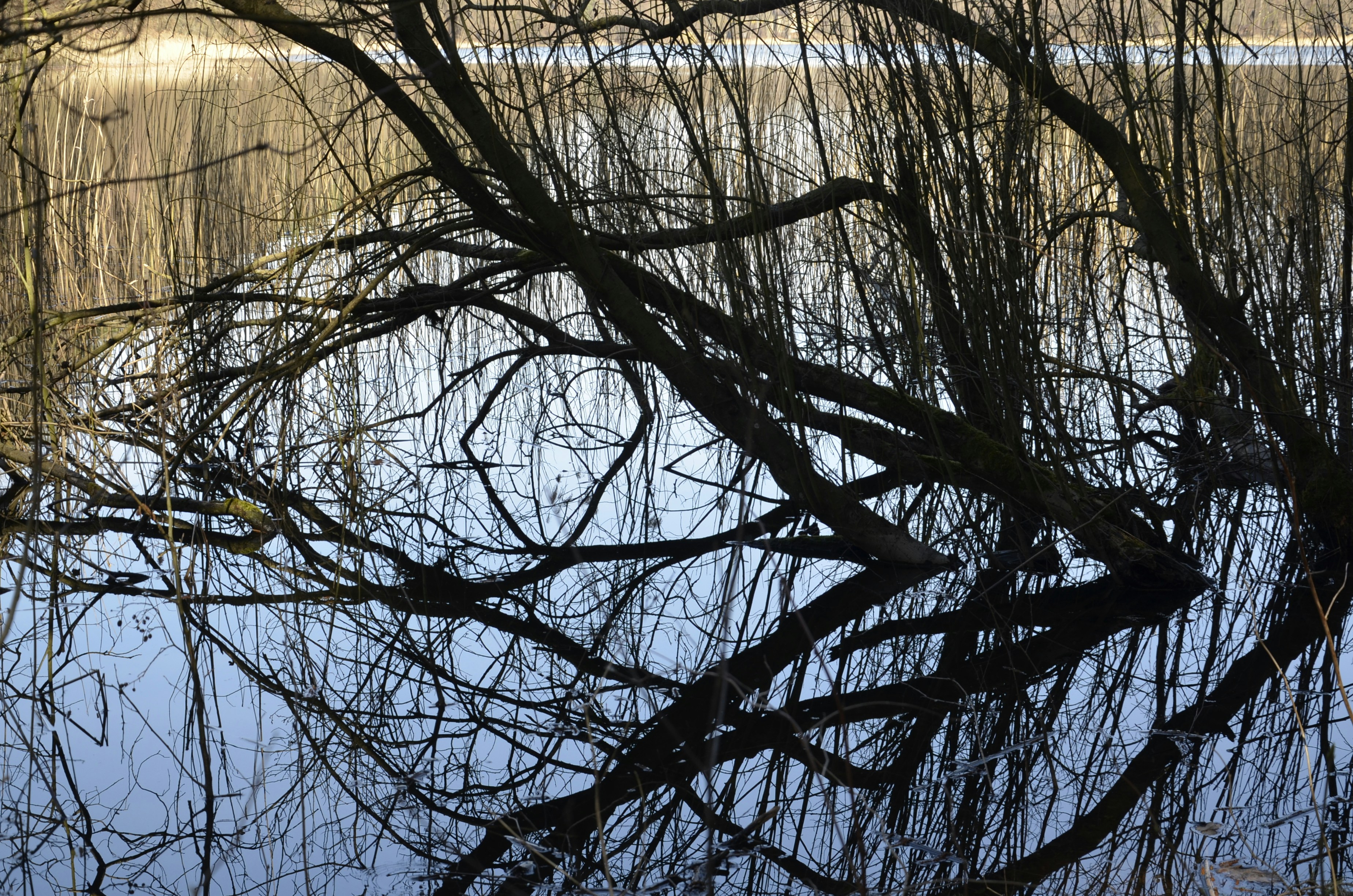 Photo by renovatio72