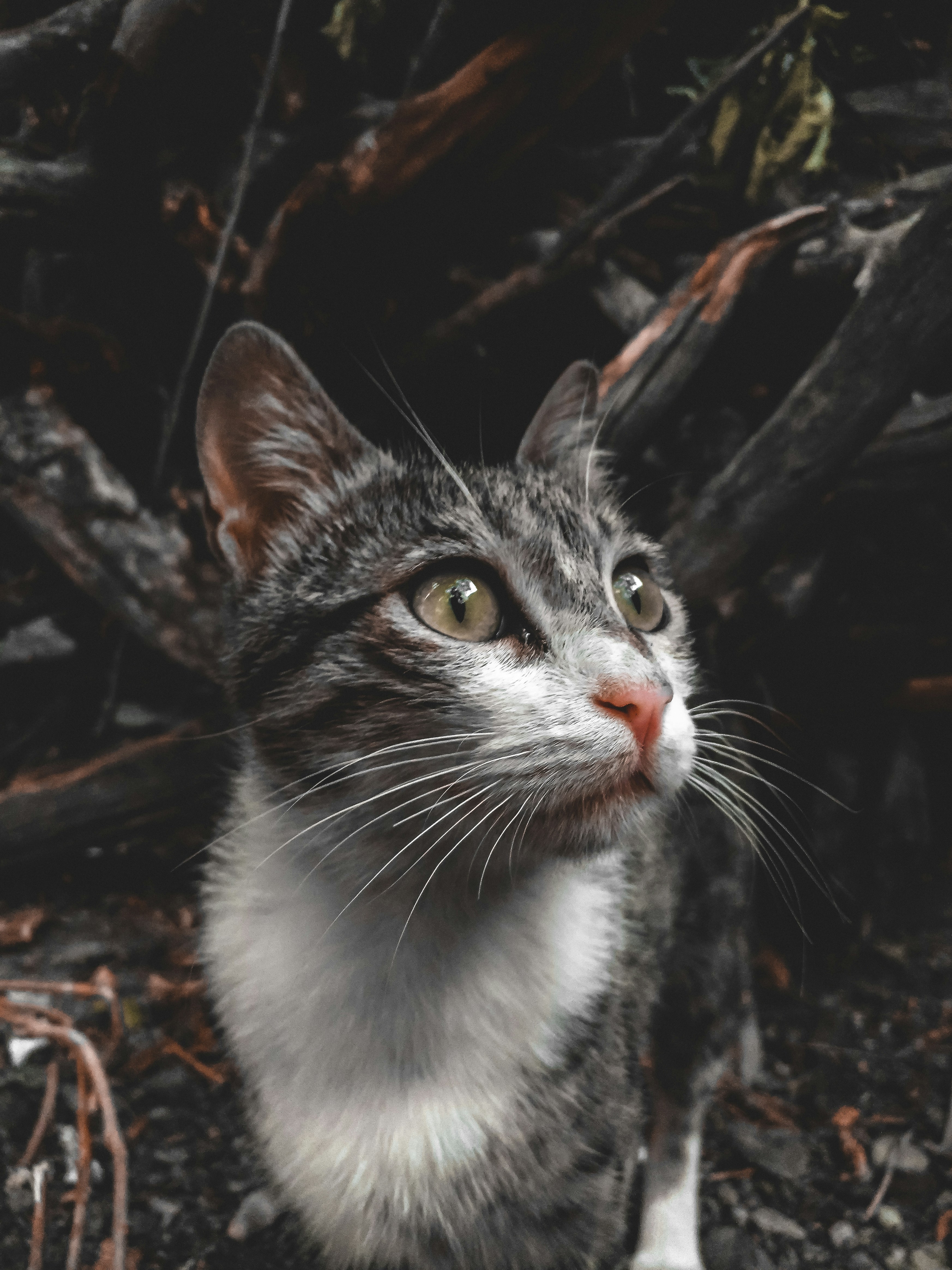 Photo by alirashtbari