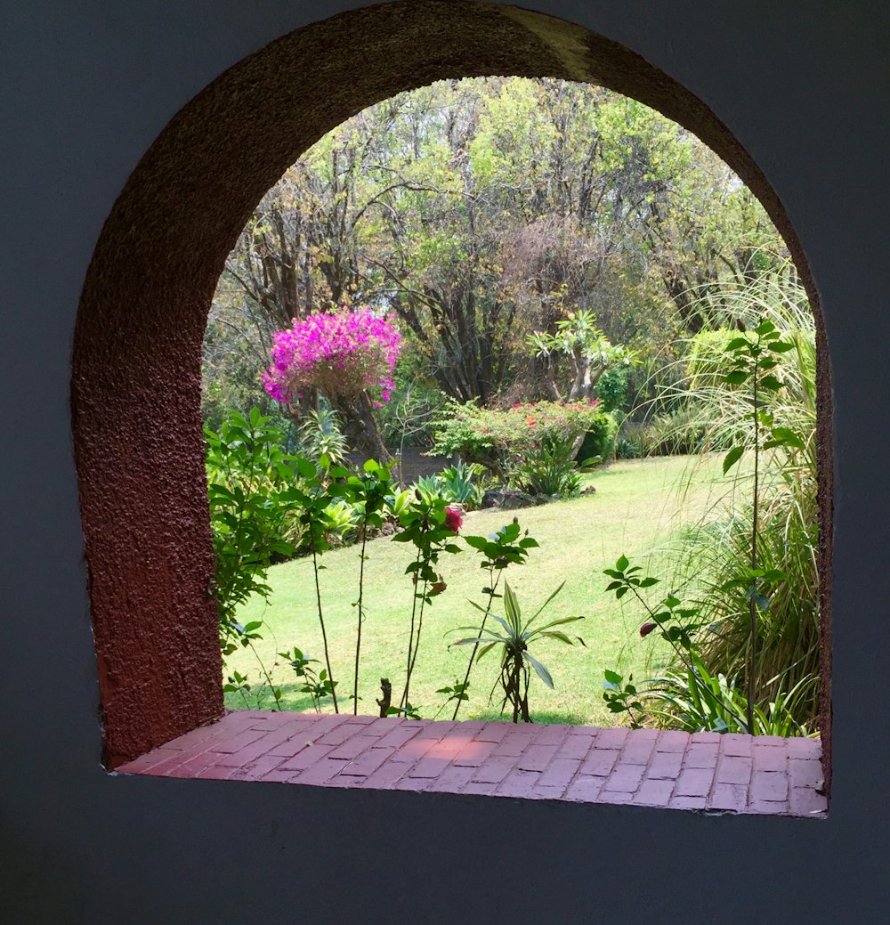 a view of a garden through an arched window