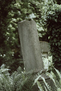 a grave surrounded by greenery in a cemetery