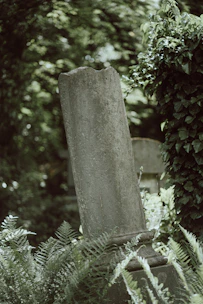 a grave surrounded by greenery in a cemetery