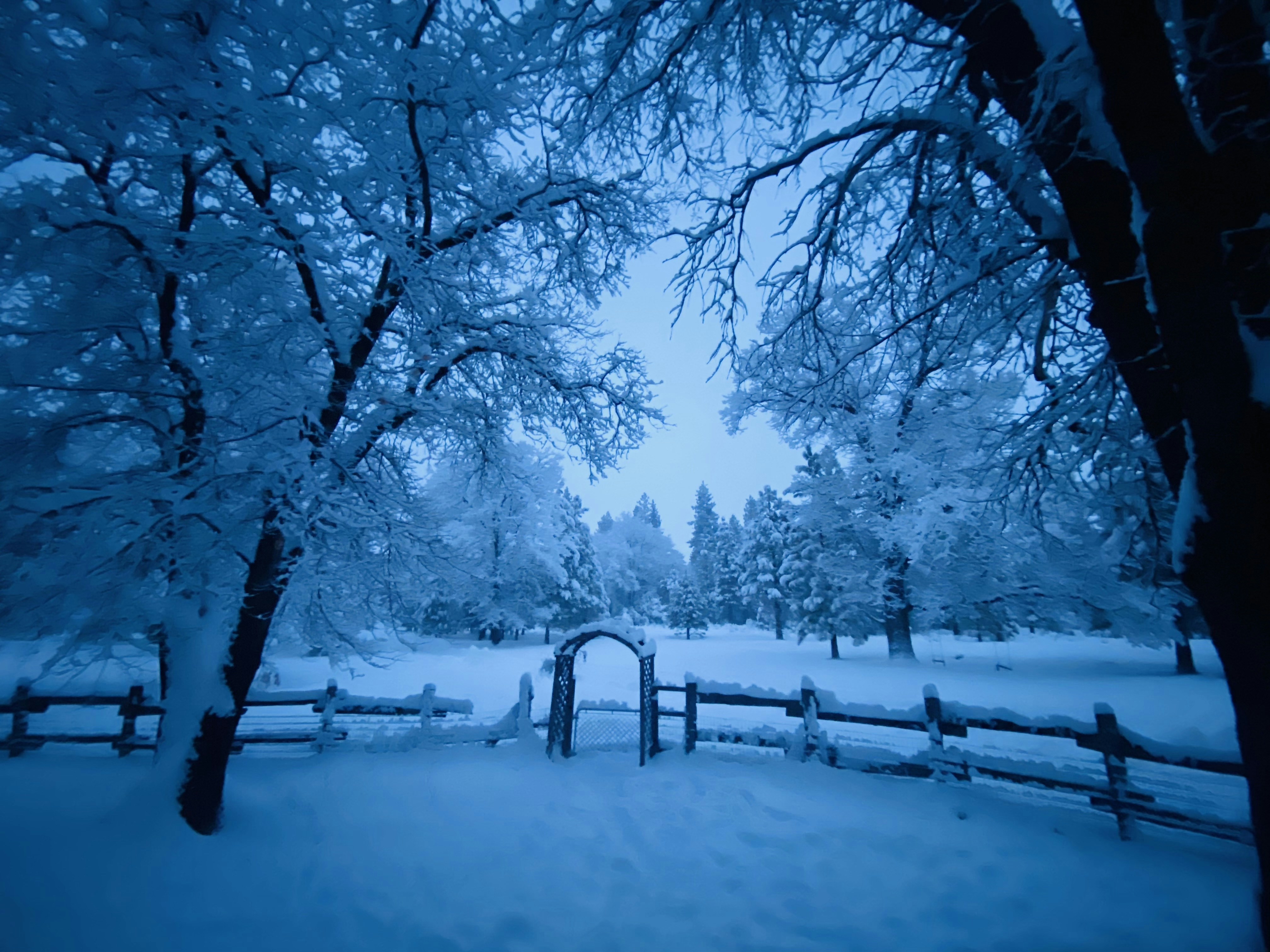 Photo by 297branscombroad