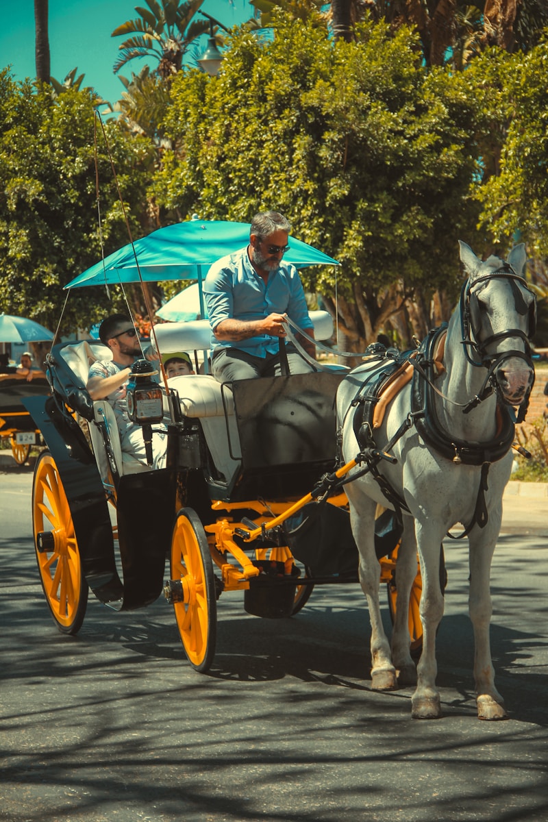 Conducteur / Conductrice d'attelage