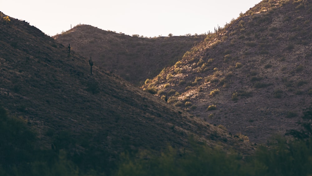 a couple of people standing on top of a hill