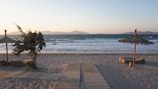 A serene beach landscape during sunset. Wooden paths lead to the shoreline with gentle waves. Two umbrellas with thatched roofs stand on either side of a tree, which is leaning due to the wind. Simple beach loungers are placed on the sand.
