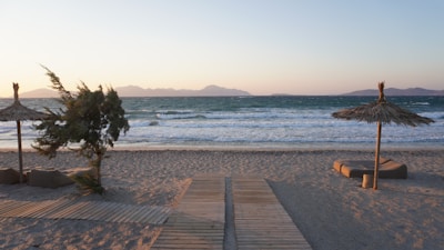 A serene beach landscape during sunset. Wooden paths lead to the shoreline with gentle waves. Two umbrellas with thatched roofs stand on either side of a tree, which is leaning due to the wind. Simple beach loungers are placed on the sand.