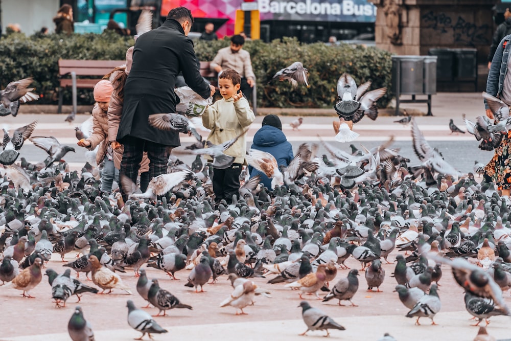 a group of people standing around a flock of birds