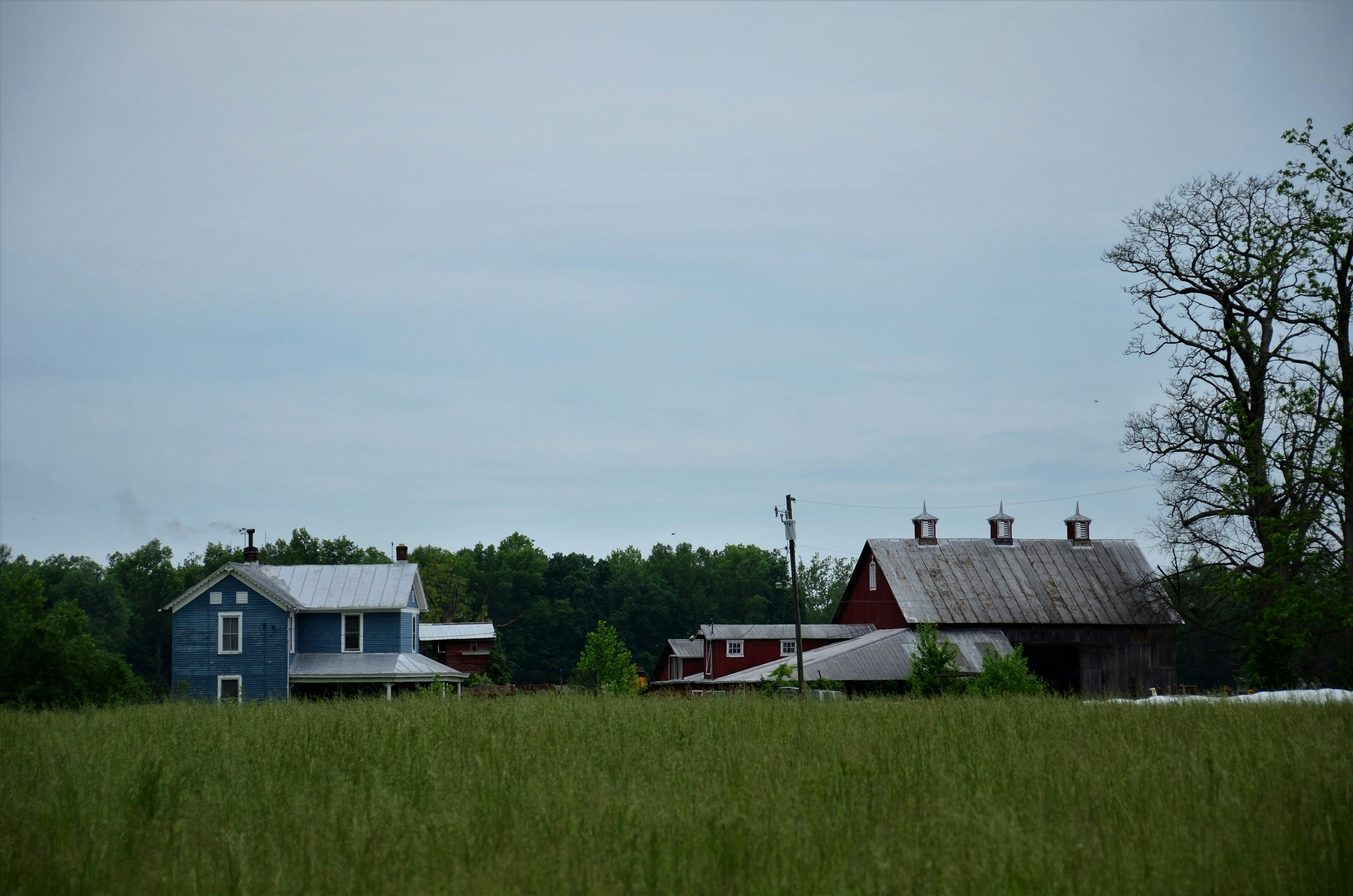 a field with two barns and trees in the background