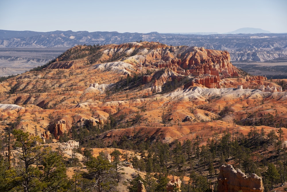 a view of a mountain range with trees in the foreground