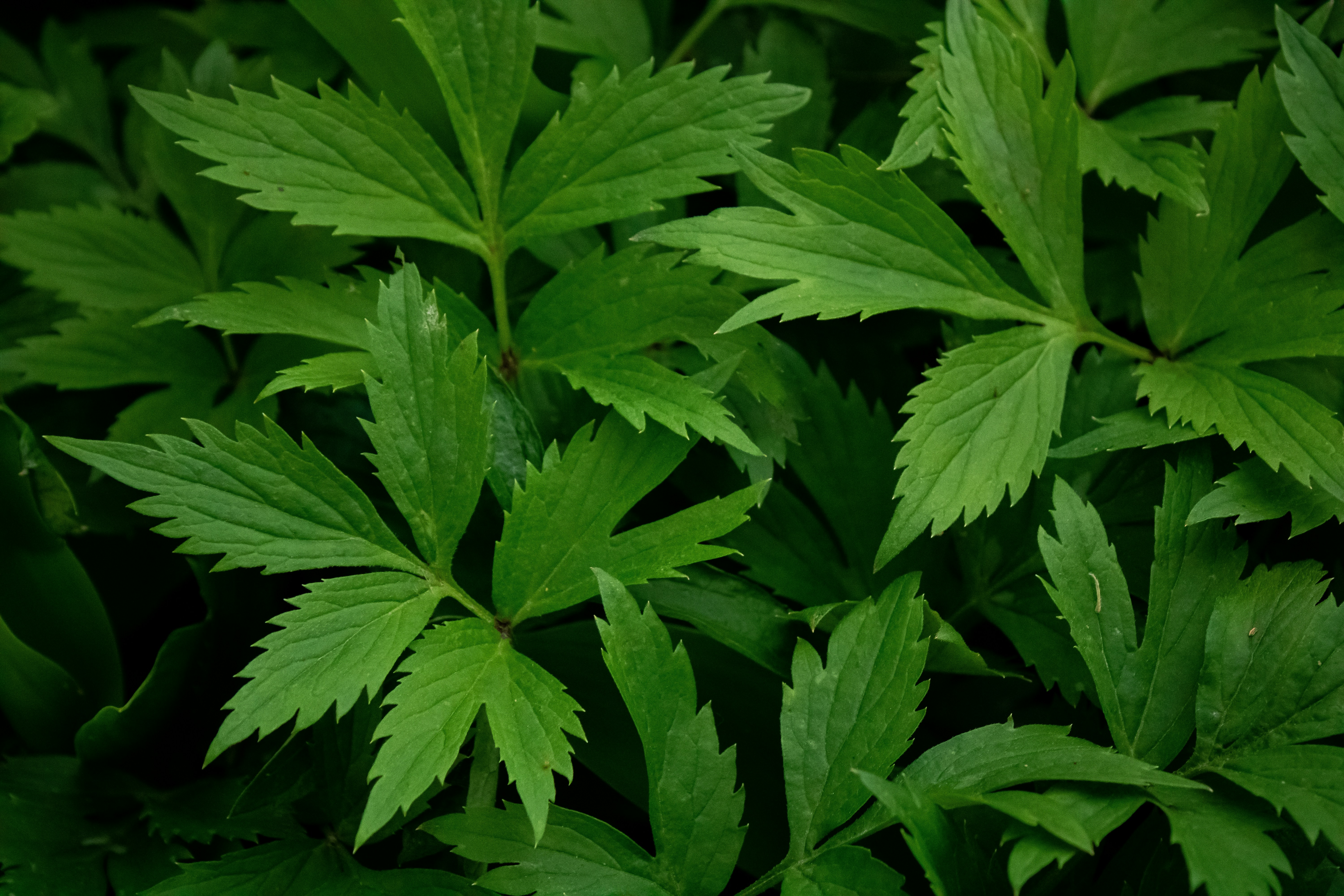 Photo by one23four56