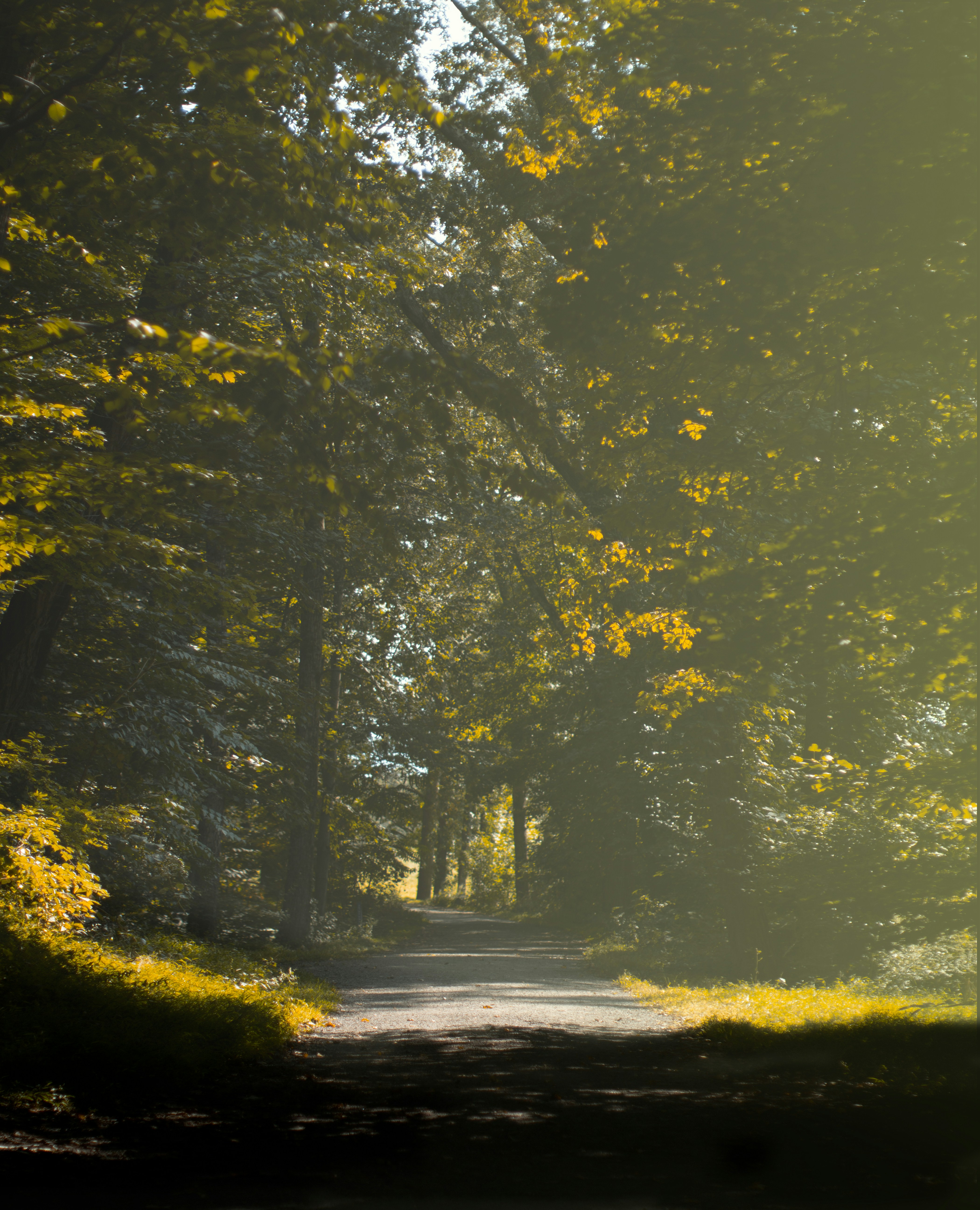 Photo by emmanuelphaeton