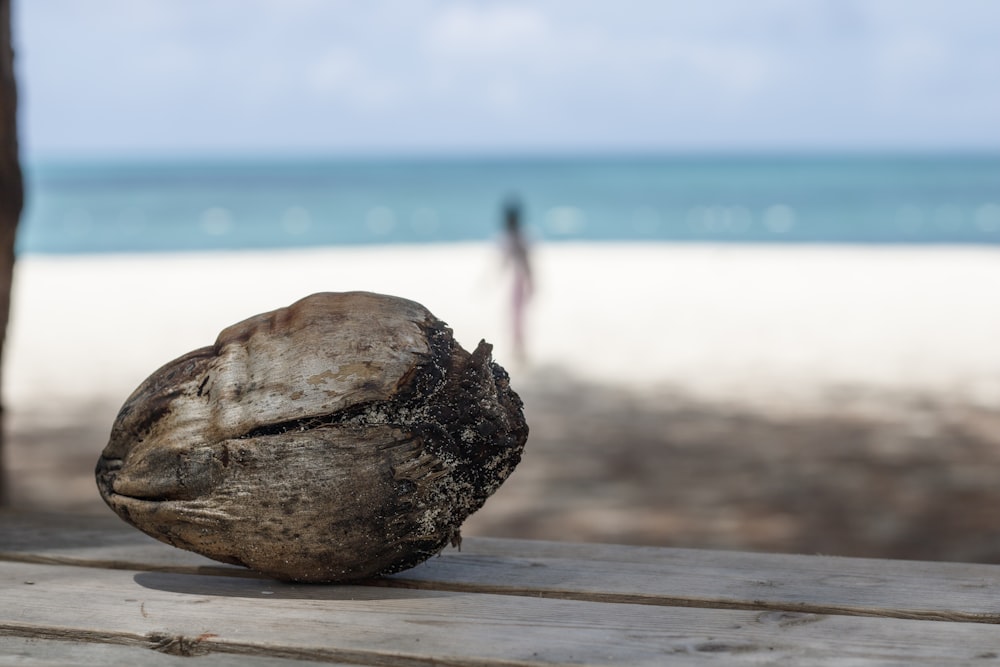 a rock sitting on top of a wooden table